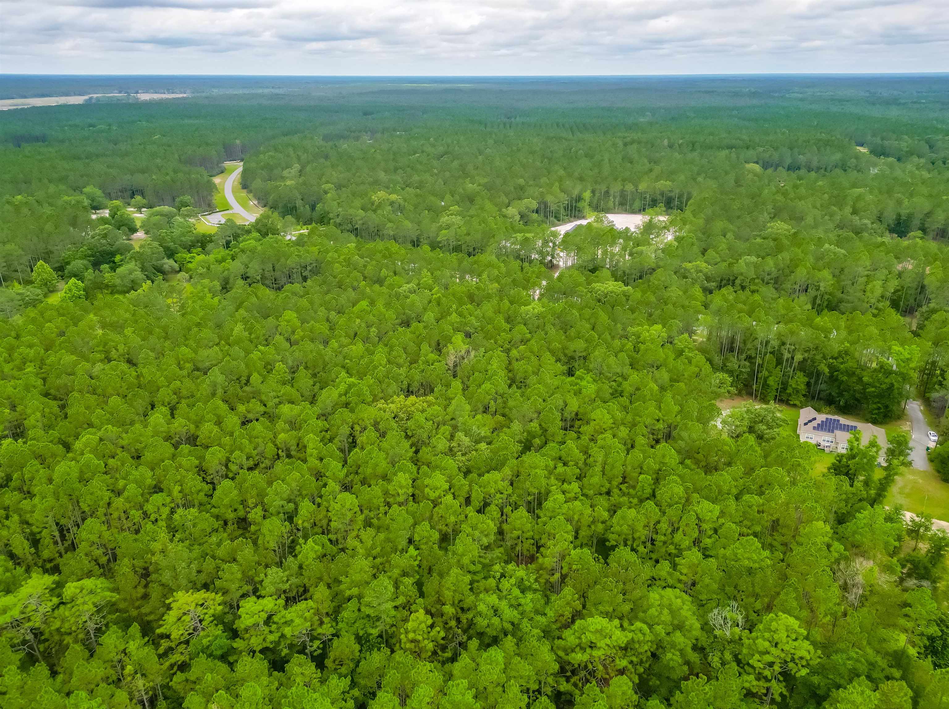 14351 Saddle Rope Trail, Tallahassee, Florida image 4