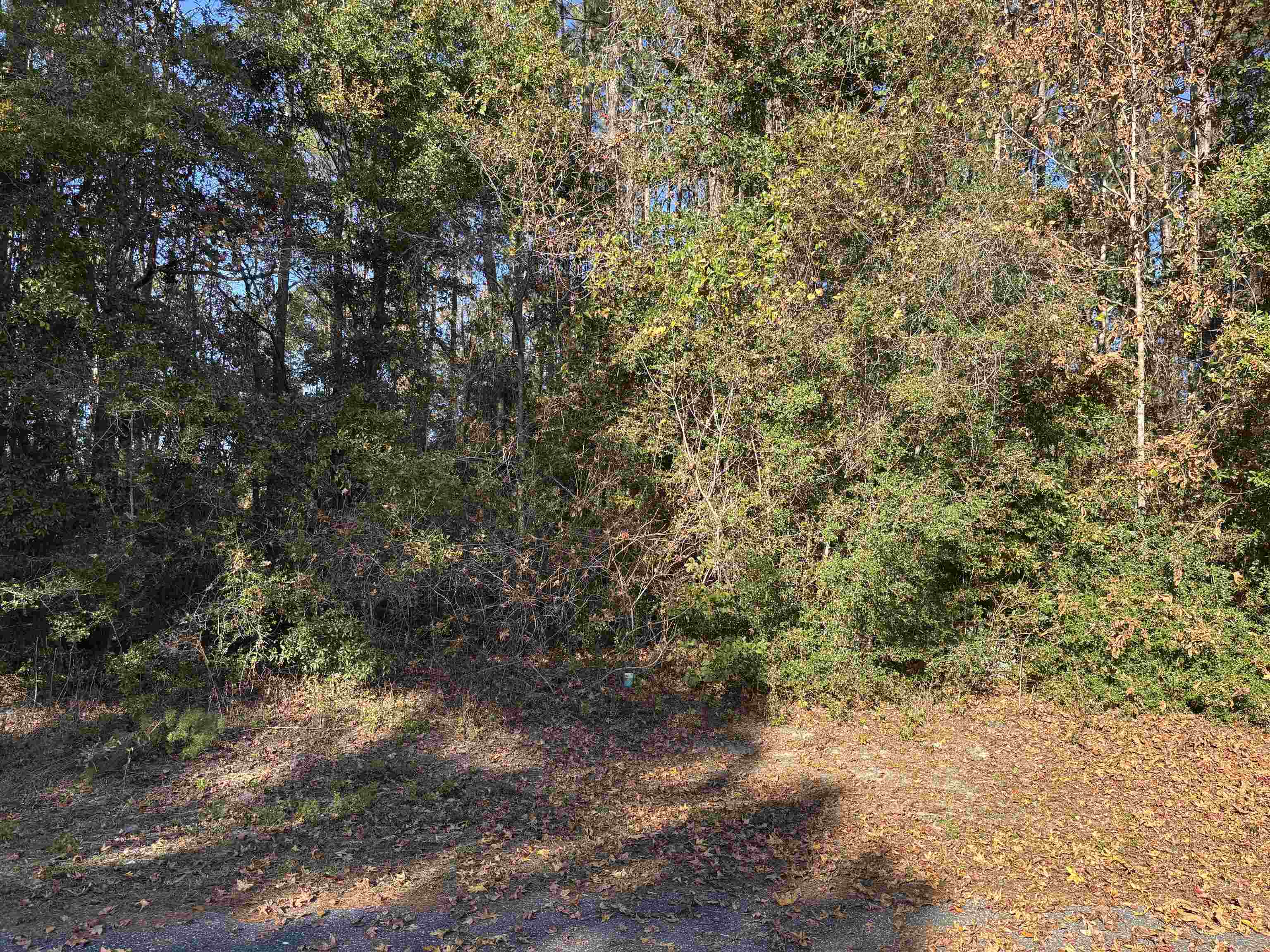Lot 6 Magpie Trail, Crawfordville, Florida image 1