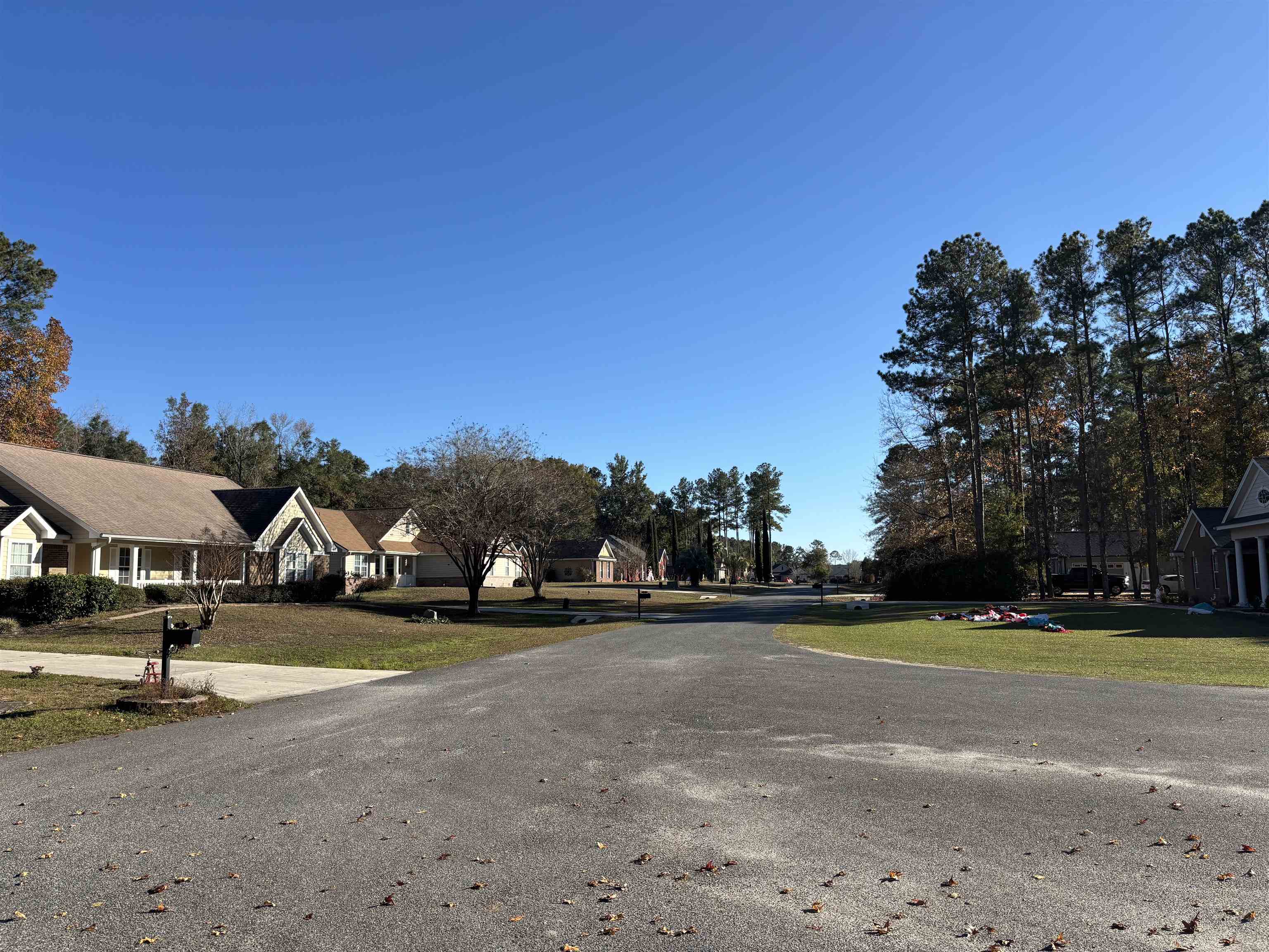 Lot 7 Magpie Trail, Crawfordville, Florida image 3