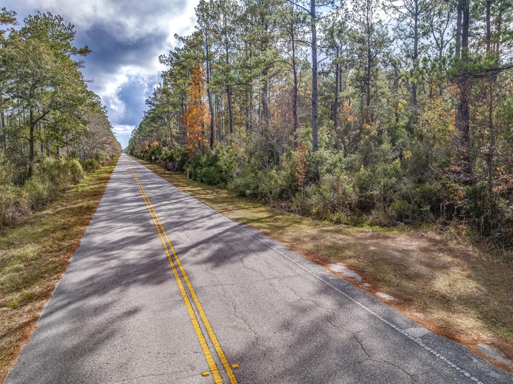 XX Lighthouse Road, Crawfordville, Florida image 2