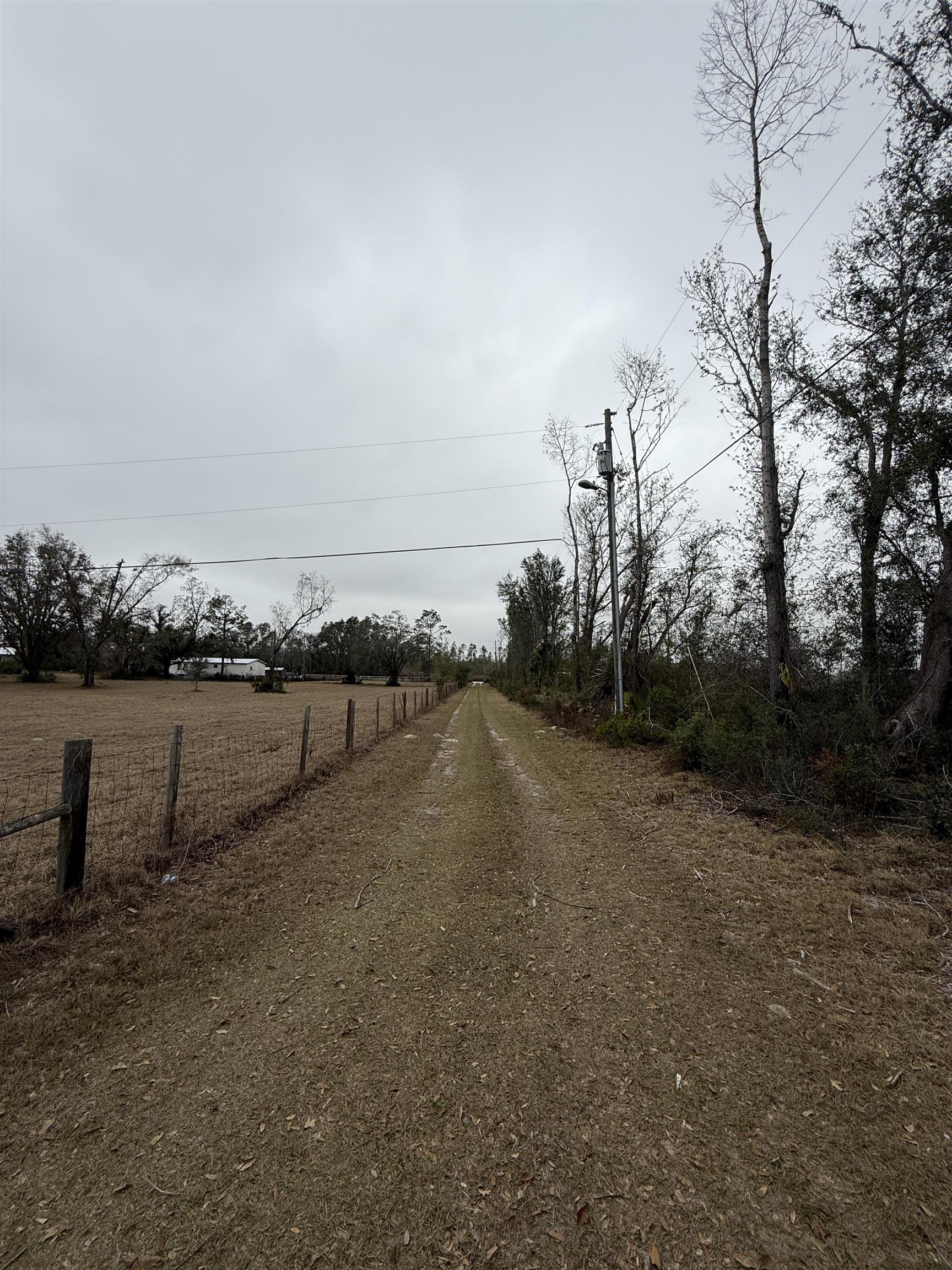 1070 Buckeye Nursery Road, Perry, Florida image 22
