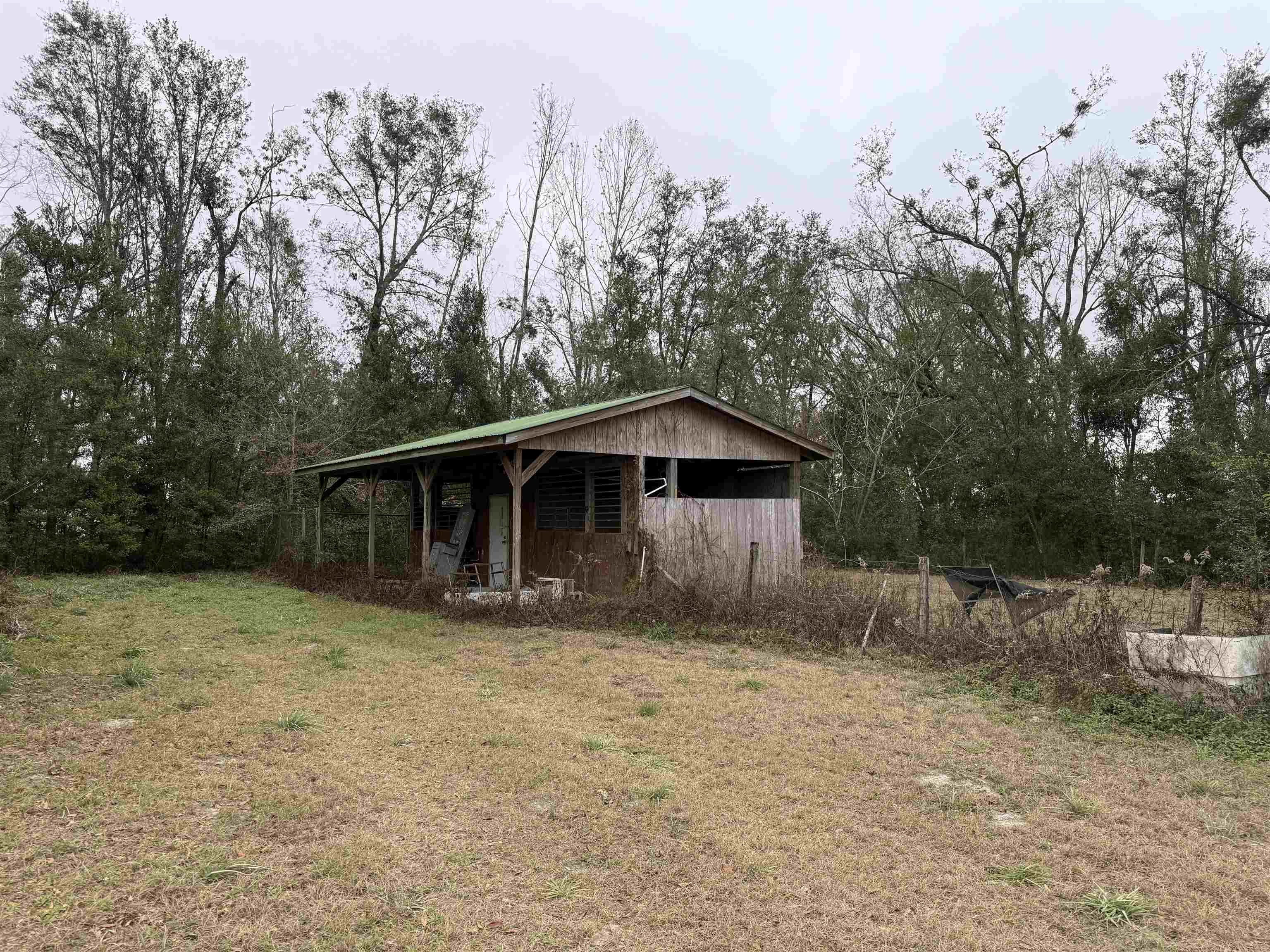 1070 Buckeye Nursery Road, Perry, Florida image 4