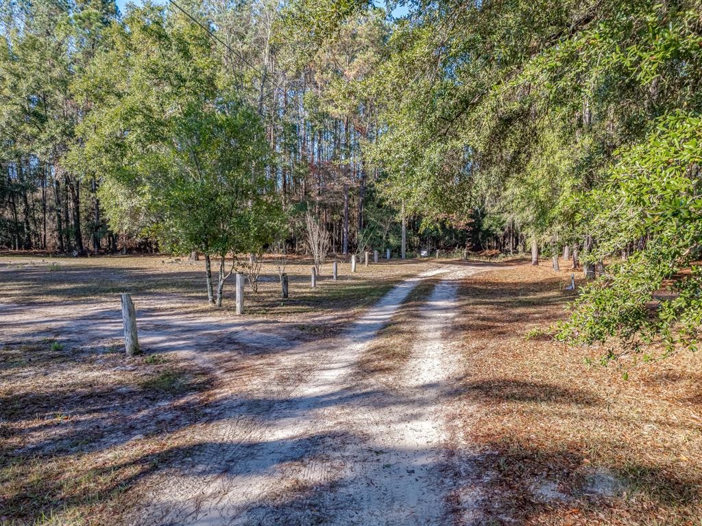 Sipsey Way, Tallahassee, Florida image 4