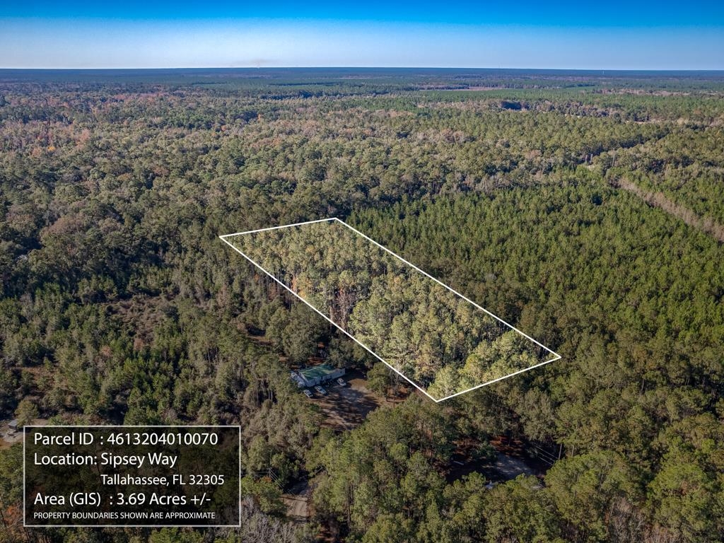 Sipsey Way, Tallahassee, Florida image 5