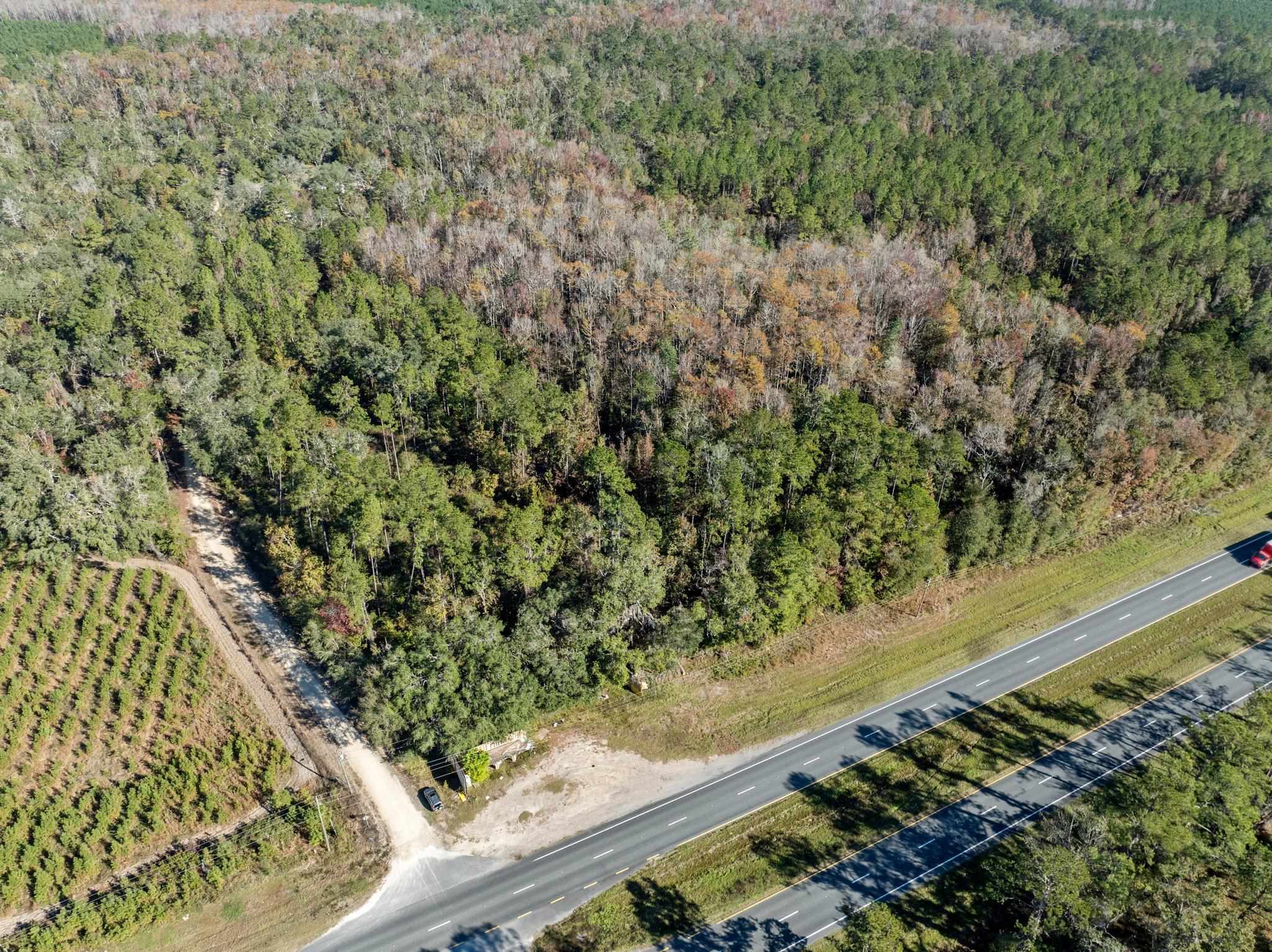 3621 E Capps Highway, Lamont, Florida image 1