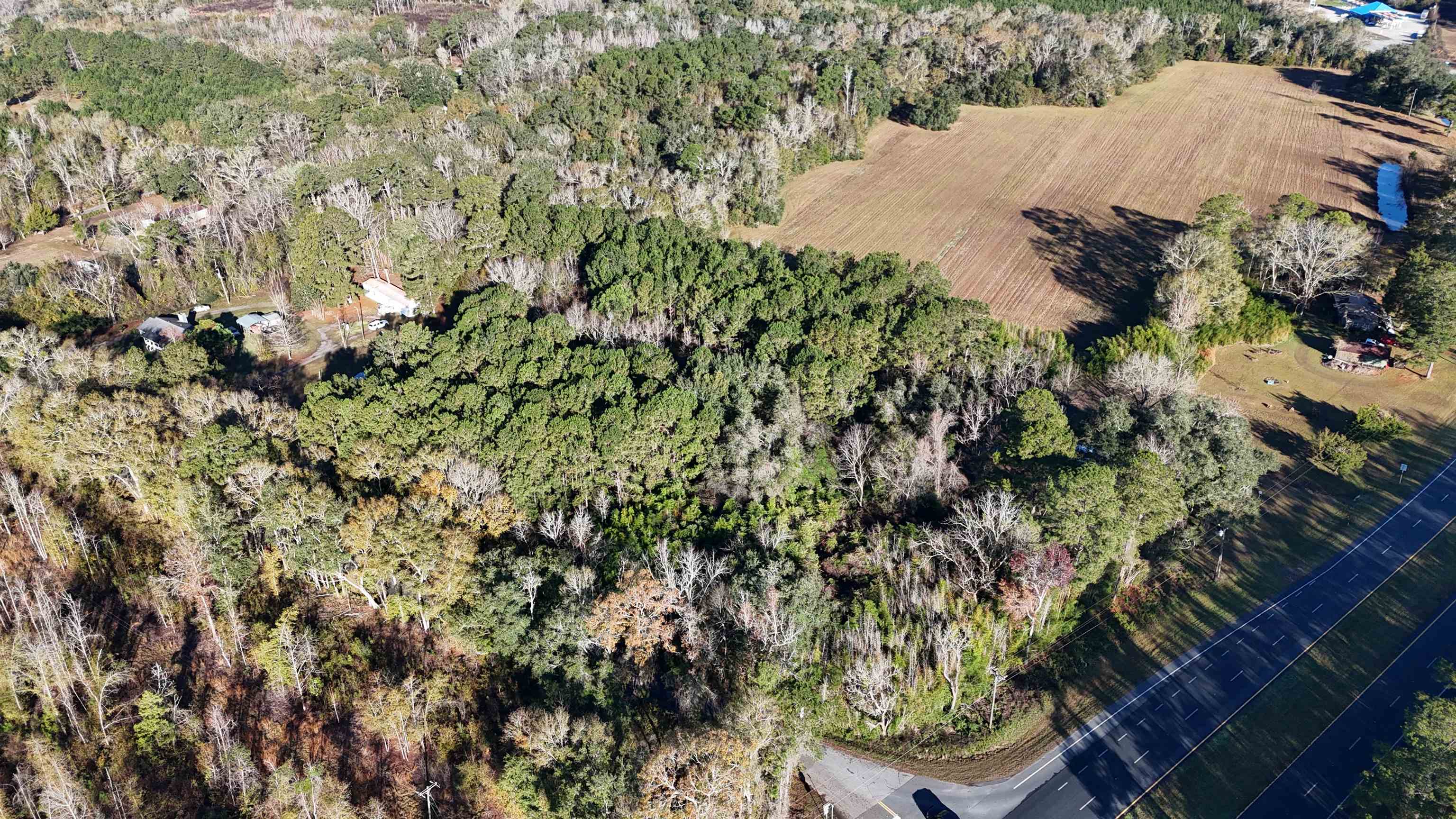 Vacant Fla-ga Highway, Havana, Florida image 10