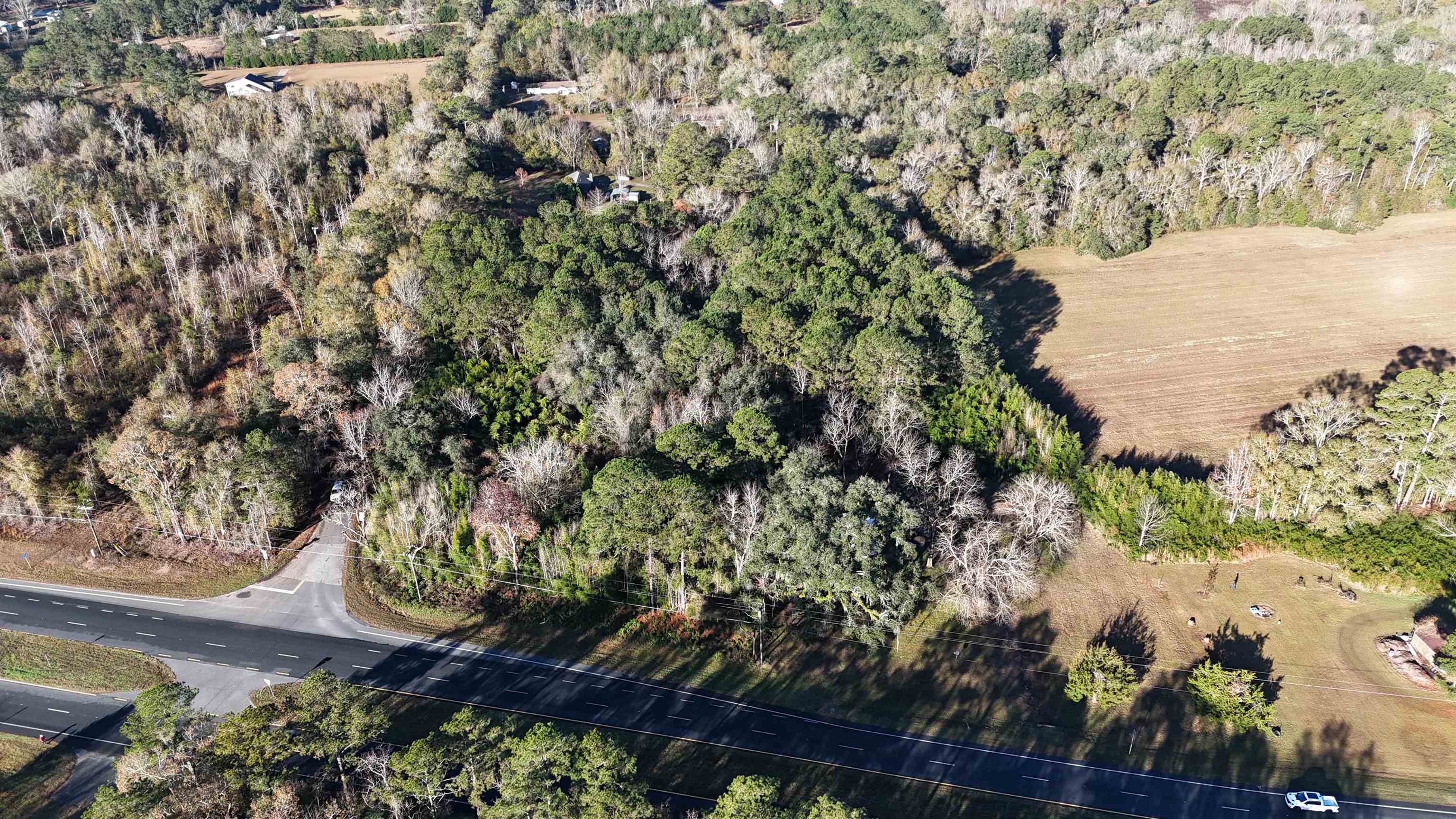 Vacant Fla-ga Highway, Havana, Florida image 12