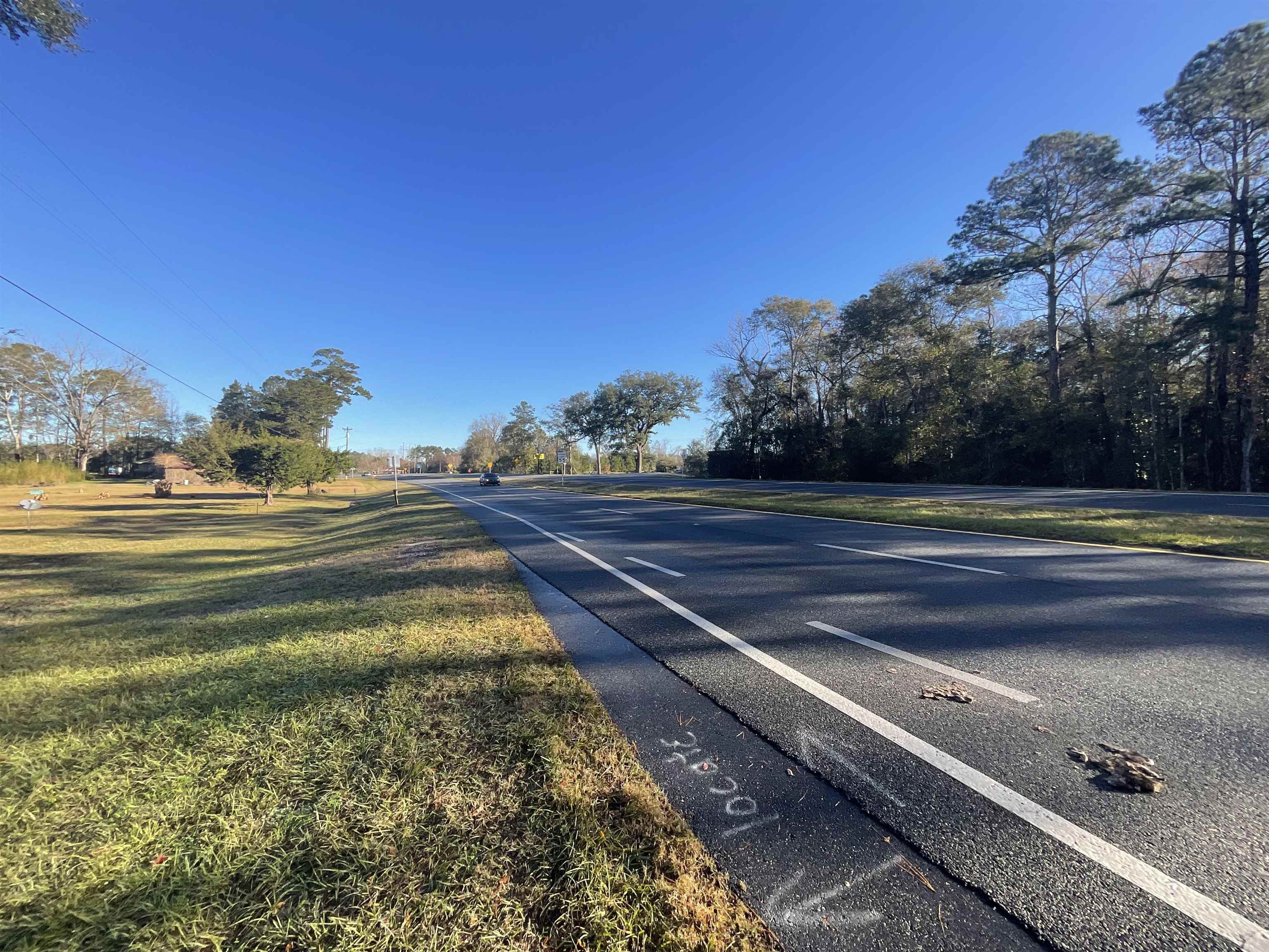 Vacant Fla-ga Highway, Havana, Florida image 14