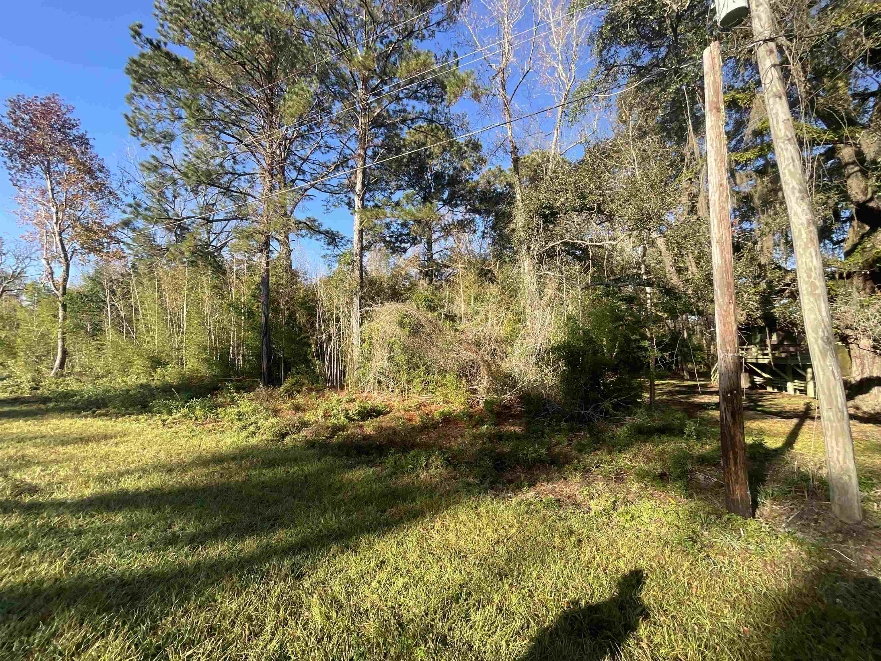 Vacant Fla-ga Highway, Havana, Florida image 17