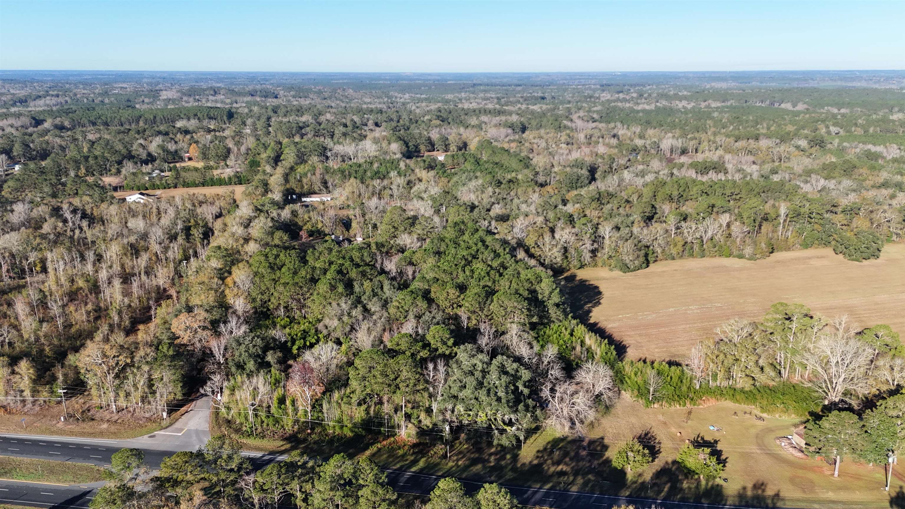 Vacant Fla-ga Highway, Havana, Florida image 3