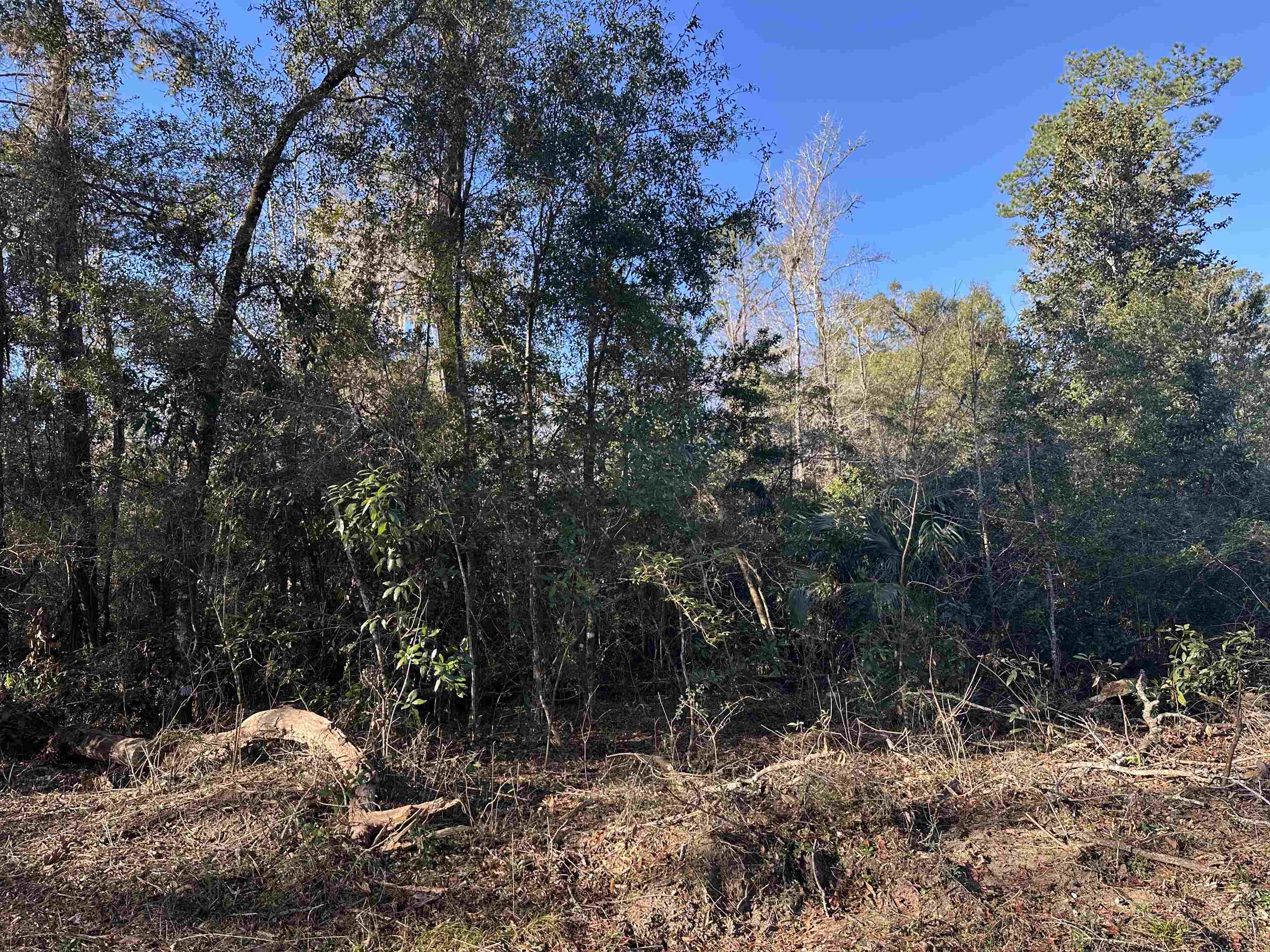 Lot 58 Iroquois Road, Crawfordville, Texas image 1