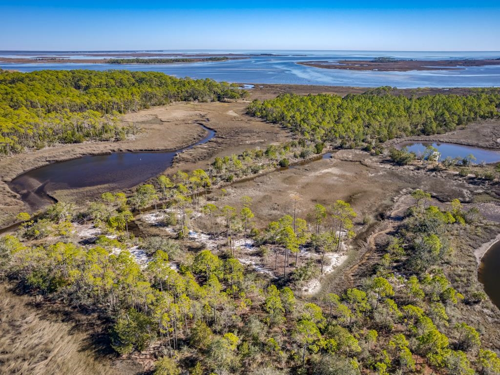 Xx Levy Bay Road, Panacea, Florida image 11