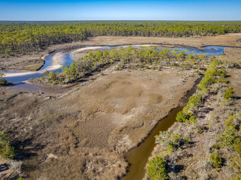 Xx Levy Bay Road, Panacea, Florida image 12
