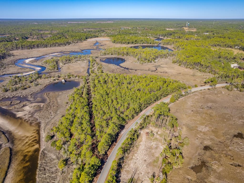 Xx Levy Bay Road, Panacea, Florida image 14