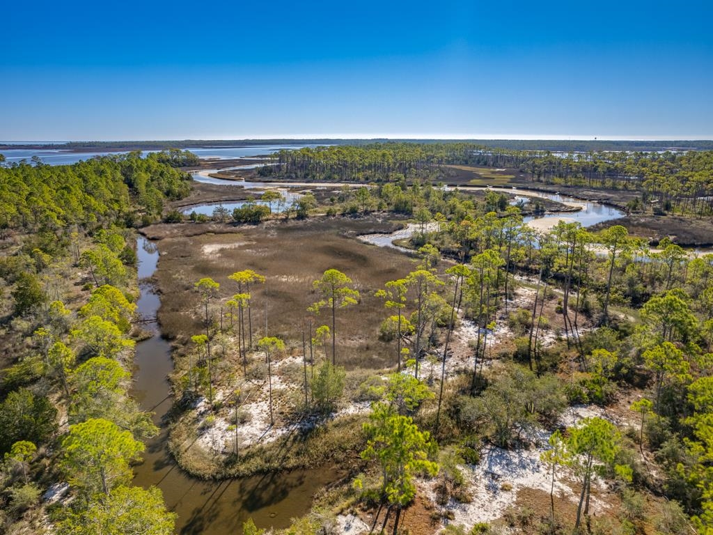 Xx Levy Bay Road, Panacea, Florida image 17