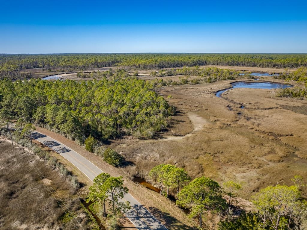Xx Levy Bay Road, Panacea, Florida image 20