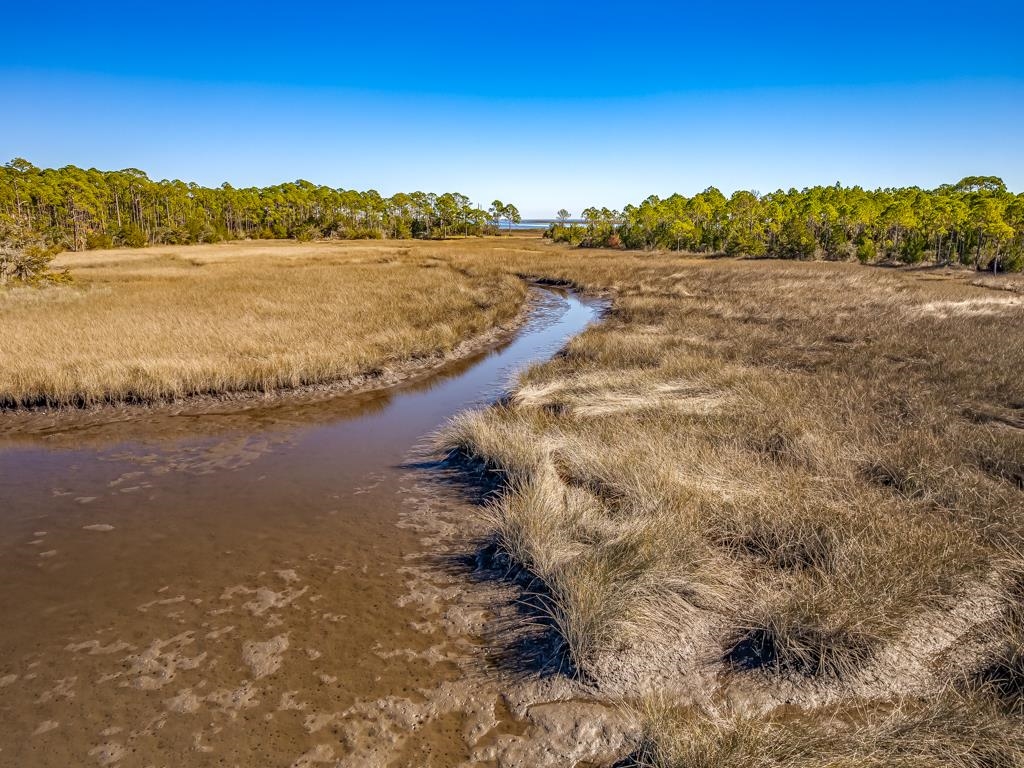 Xx Levy Bay Road, Panacea, Florida image 24
