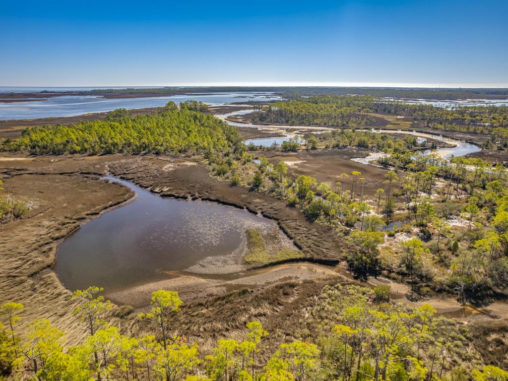 Xx Levy Bay Road, Panacea, Florida image 7