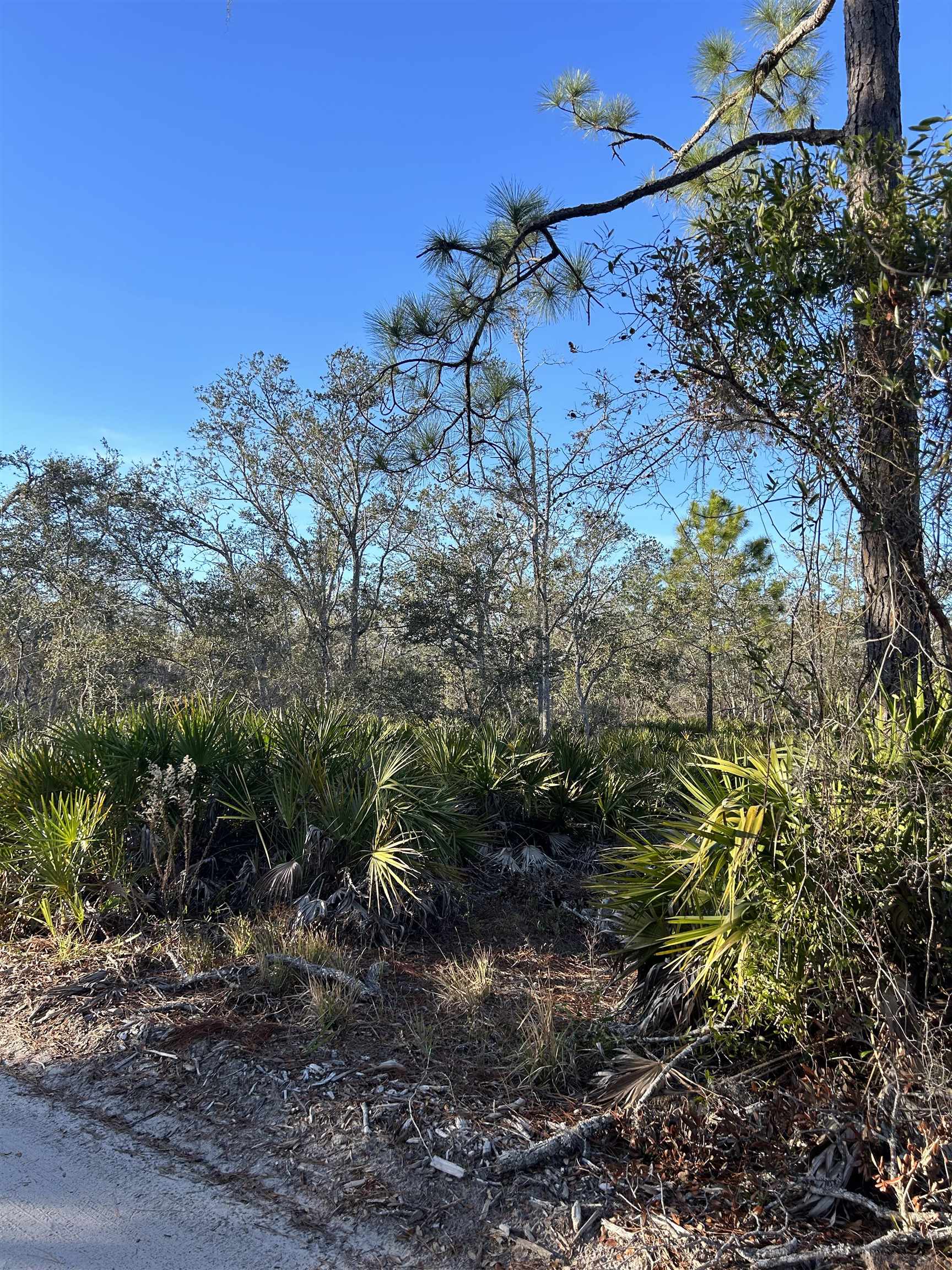 00 Clearwater Lane, Perry, Texas image 27