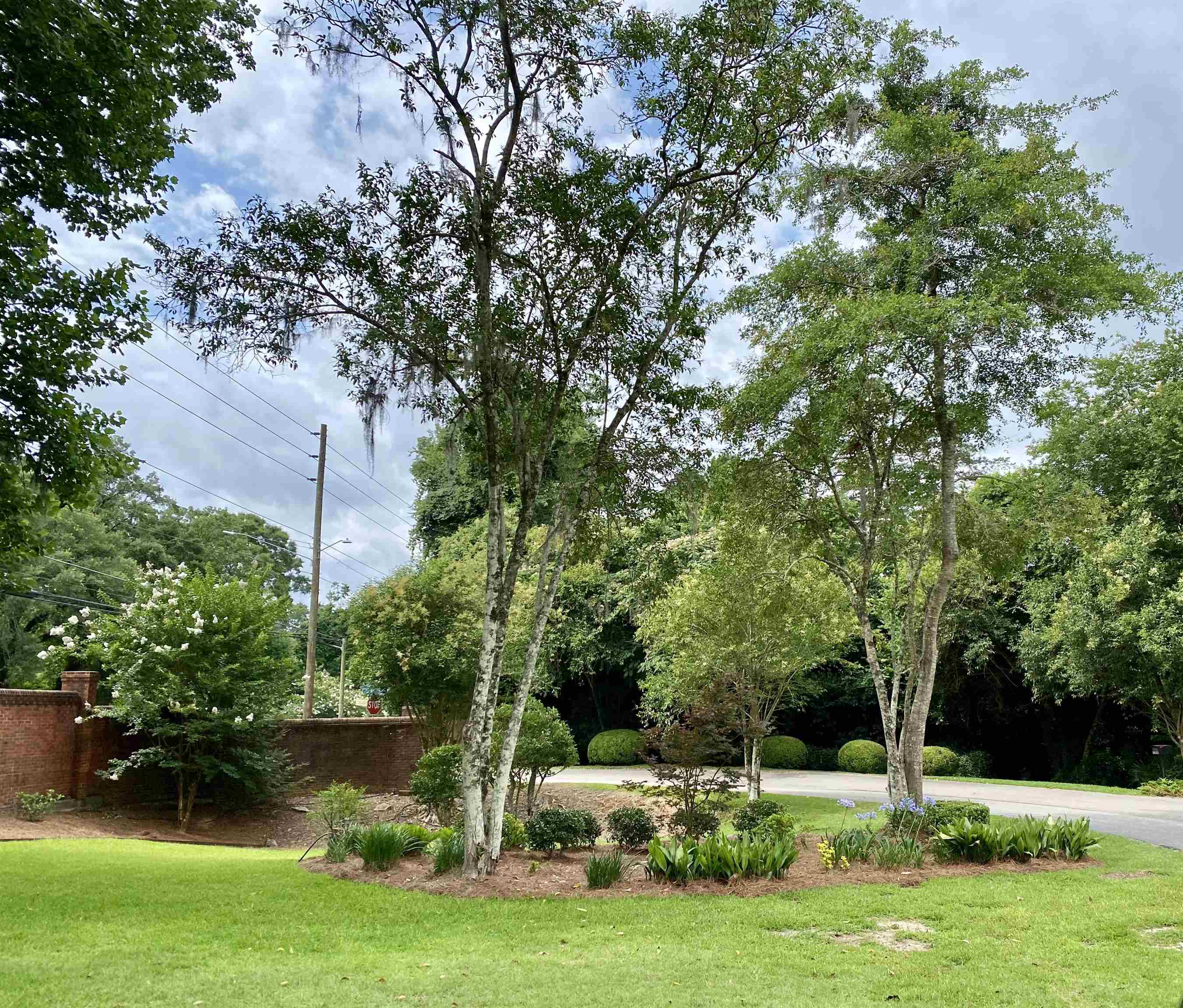 2870 Asbury Hill Drive, Tallahassee, Florida image 5