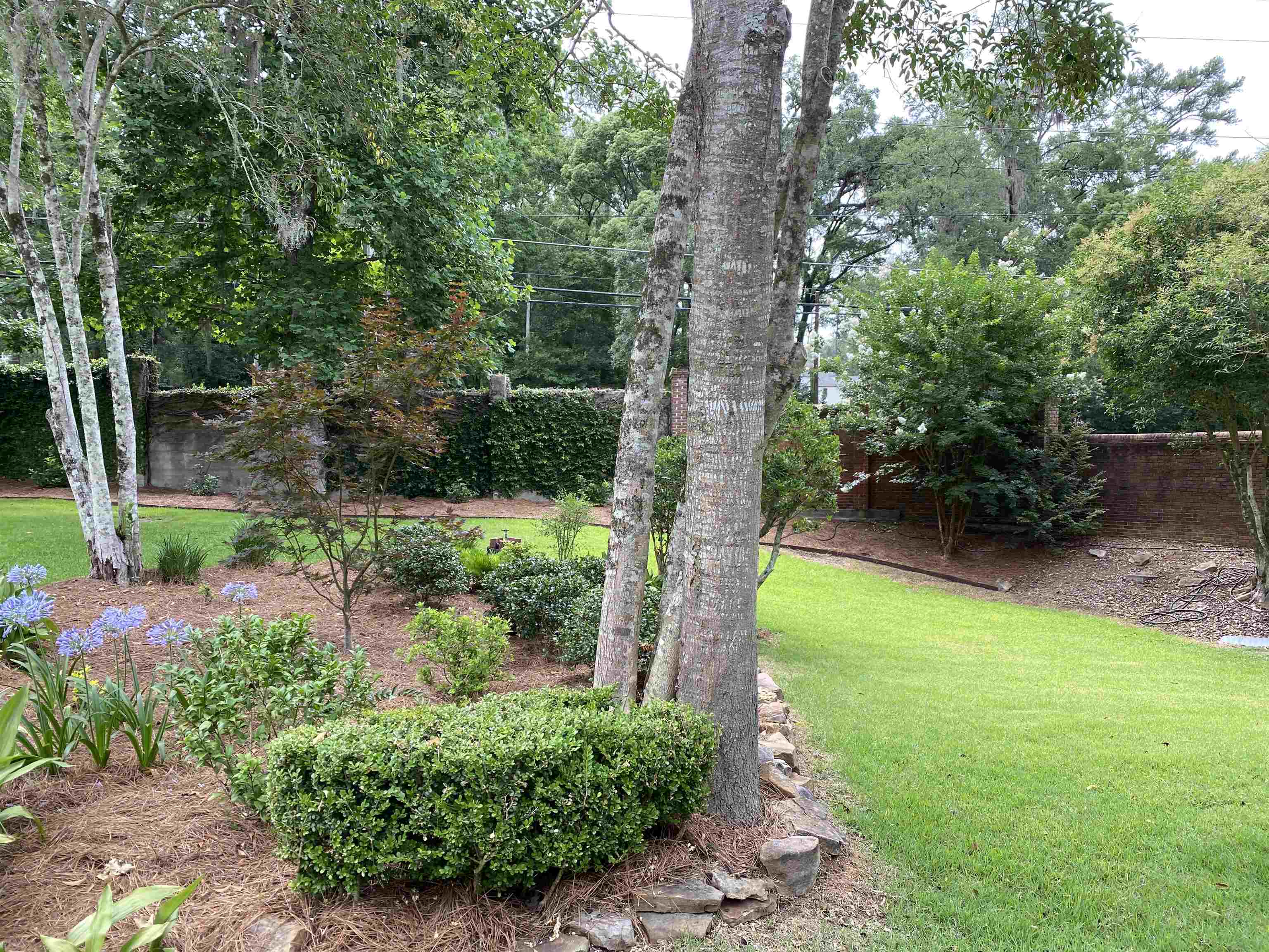 2870 Asbury Hill Drive, Tallahassee, Florida image 6