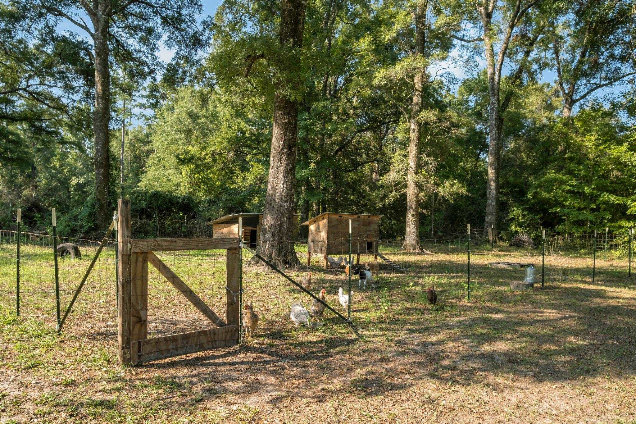 94 Appaloosa Road, Crawfordville, Texas image 34