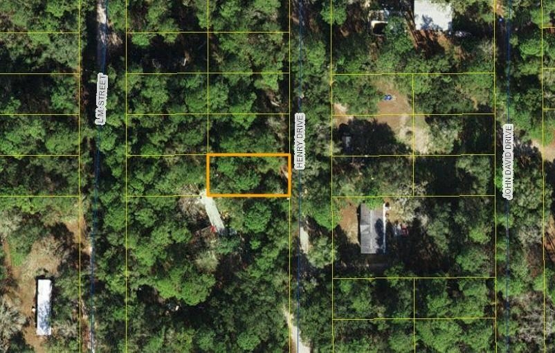 Xx Henry Drive, Crawfordville, Florida image 1