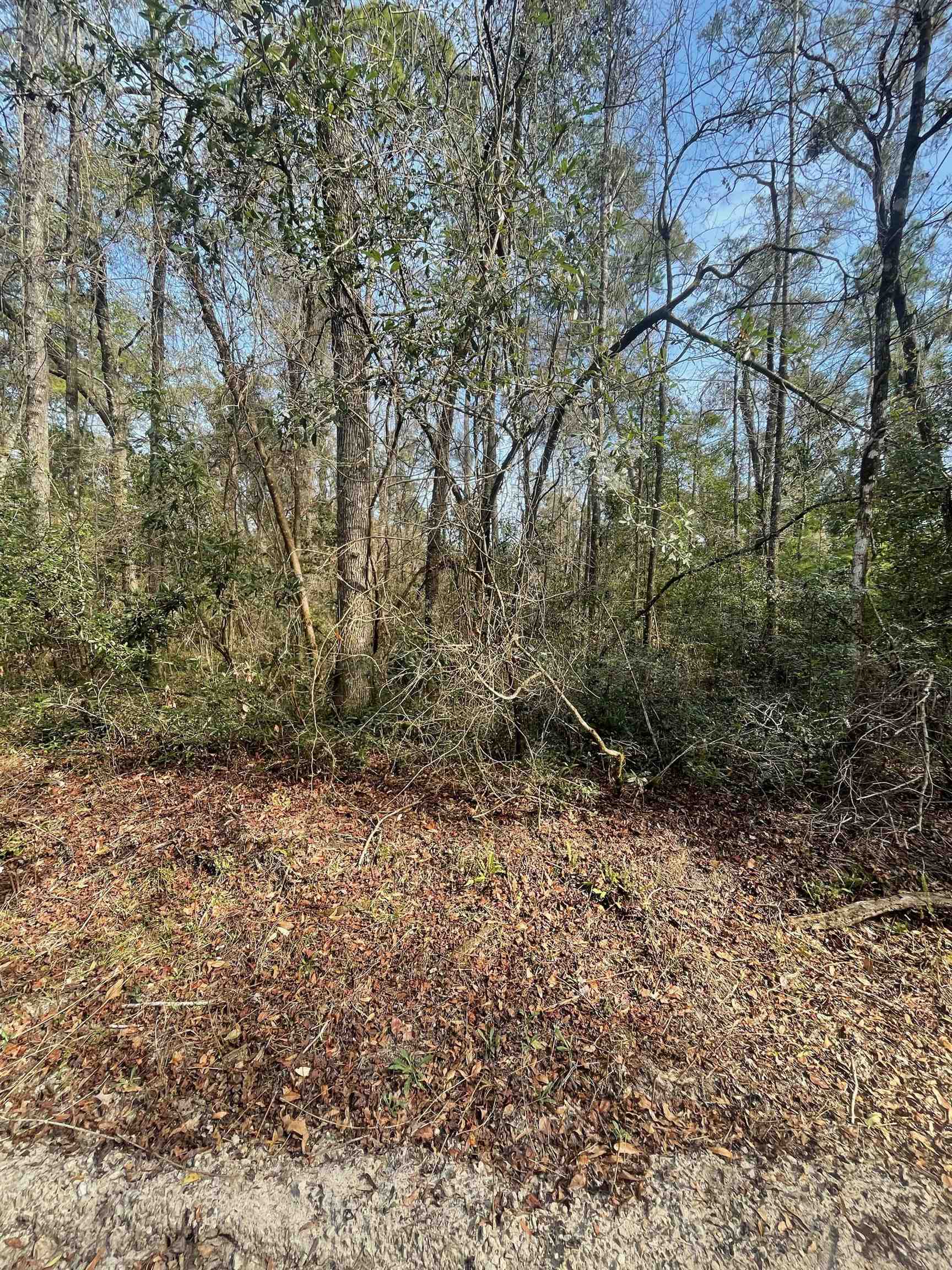 XX Neeley Rd Lot 20, Crawfordville, Florida image 3