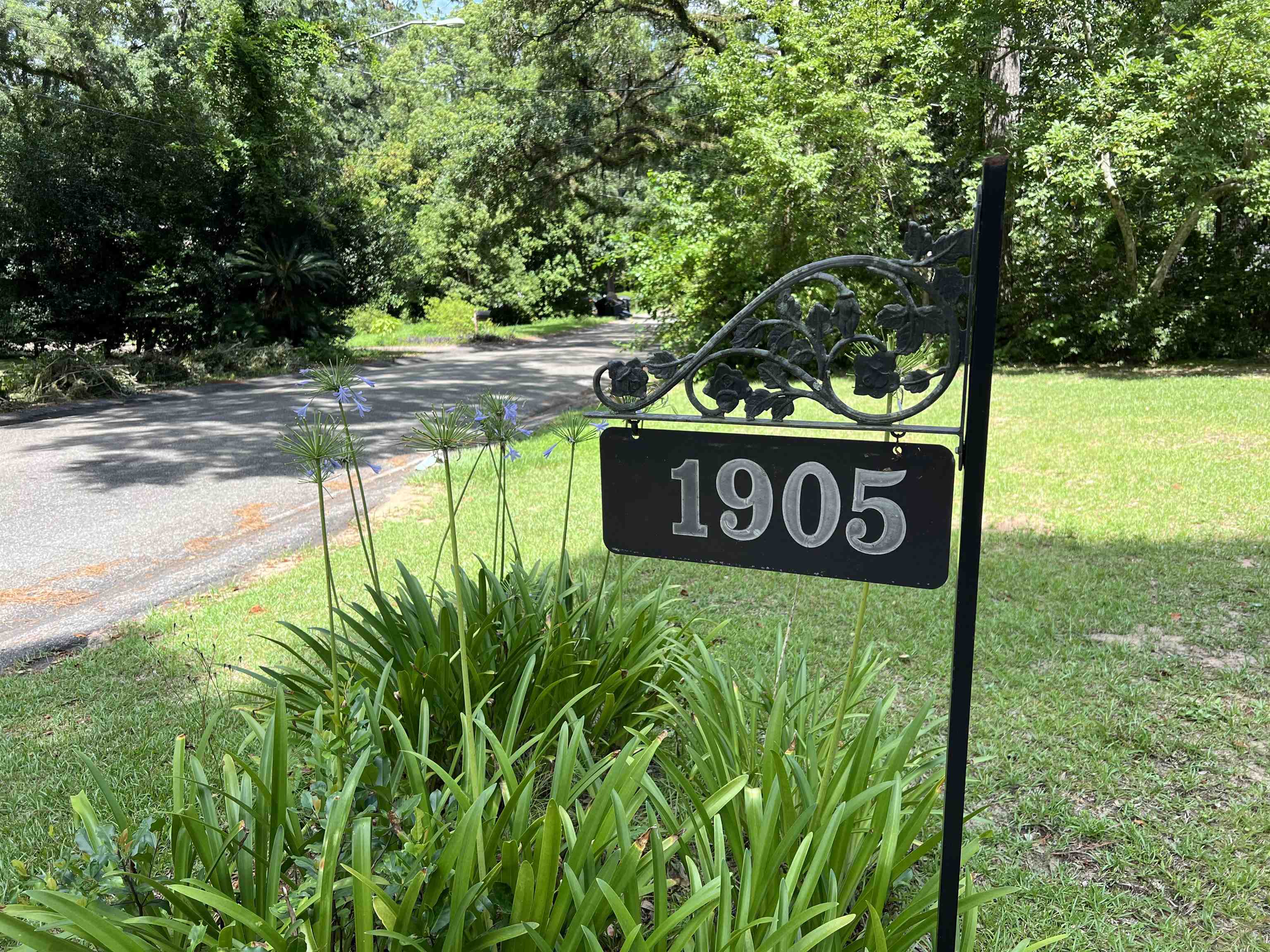 1905 Sunset Lane, Tallahassee, Florida image 3