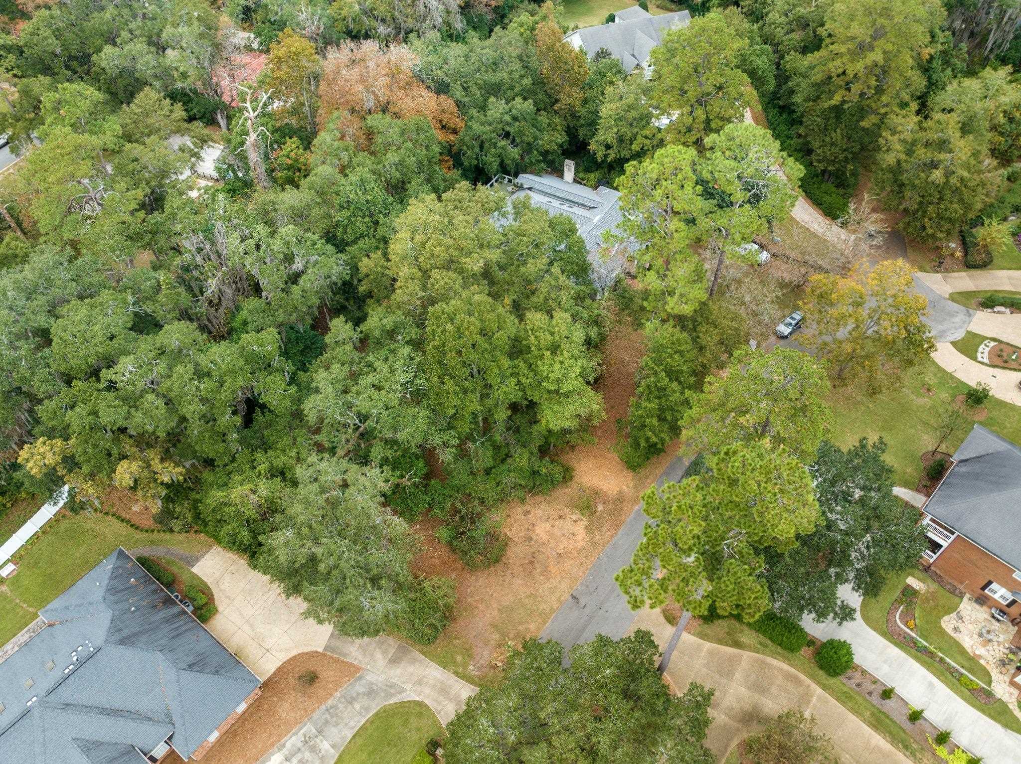 2840 Asbury Hill Drive, Tallahassee, Texas image 9