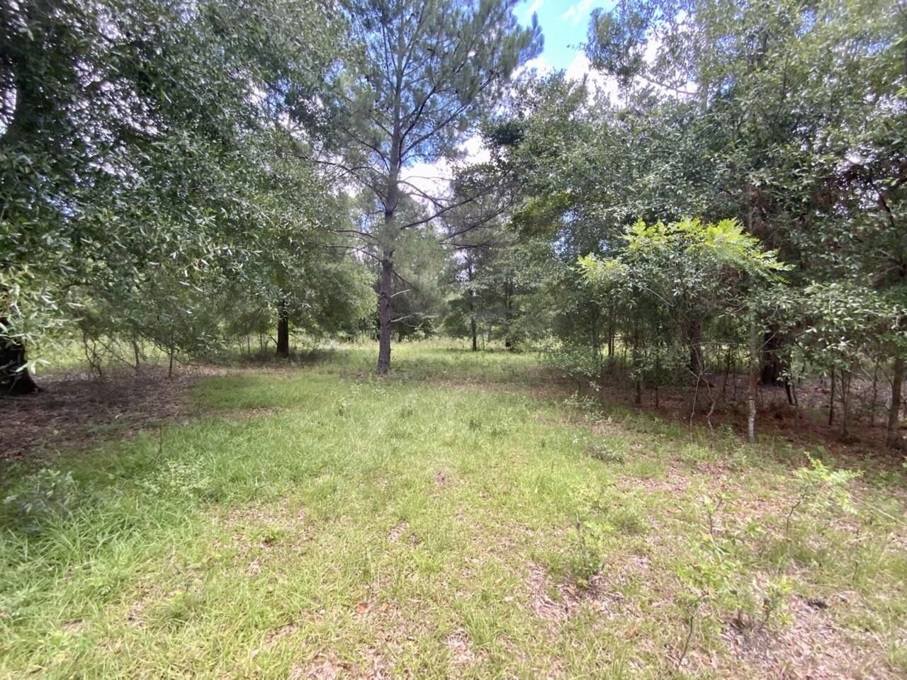 0000 NE Dandelion Street, Madison, Florida image 40