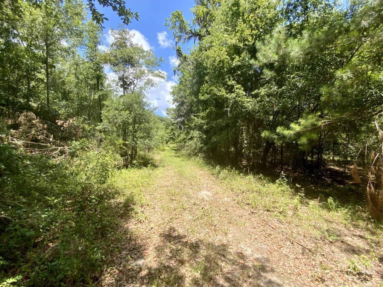 0000 NE Dandelion Street, Madison, Florida image 7