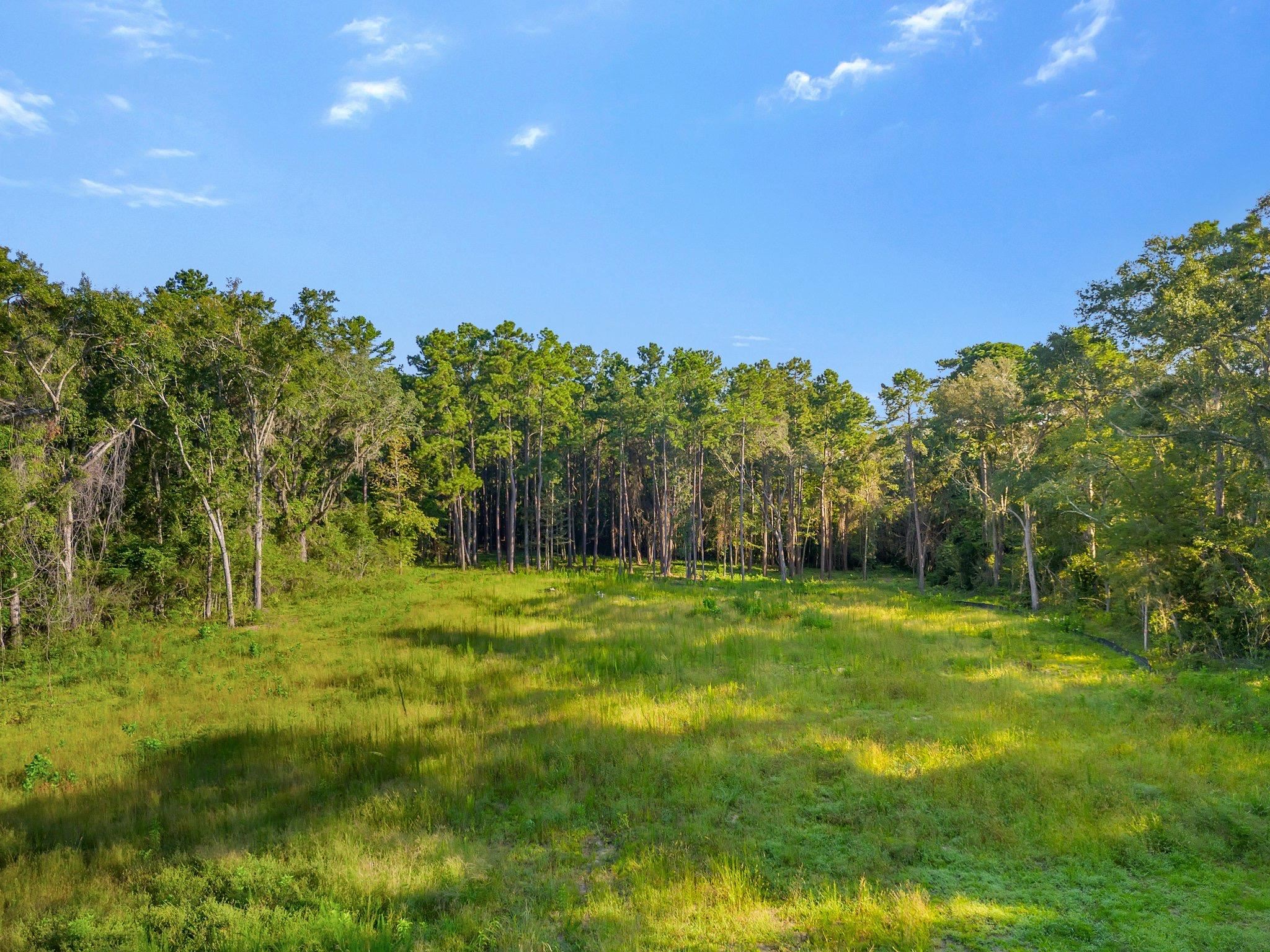 Bannerman Road, Tallahassee, Texas image 1