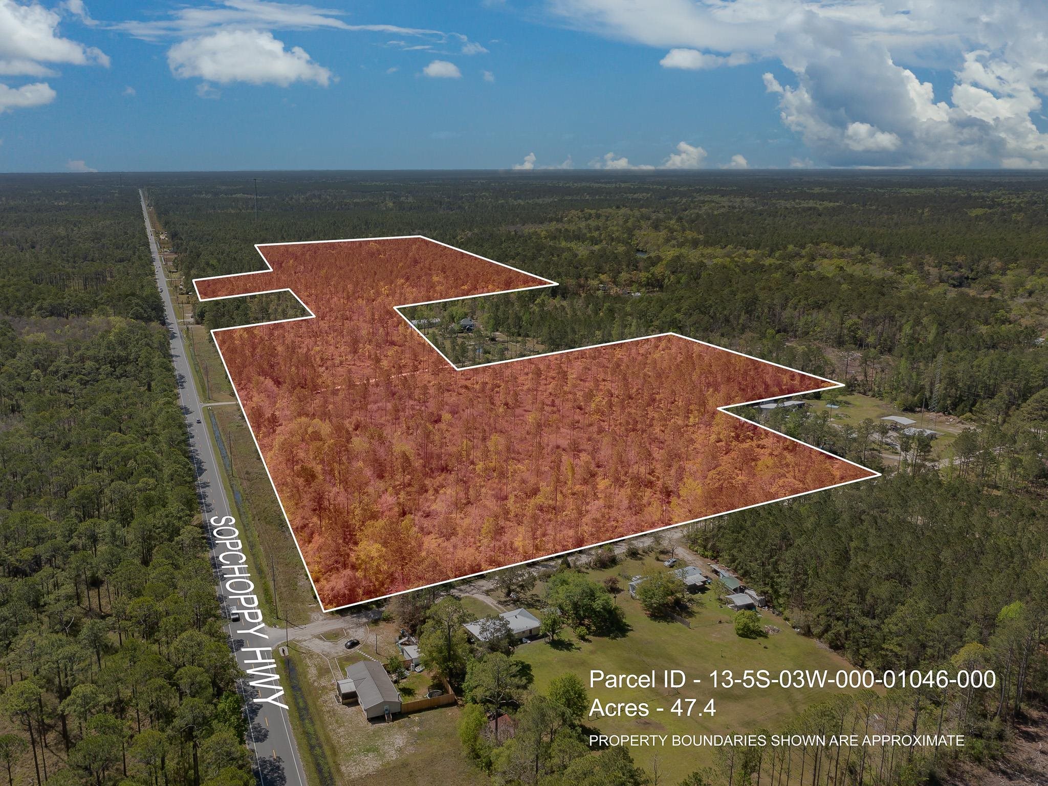 XX Sopchoppy Highway, Sopchoppy, Florida image 1