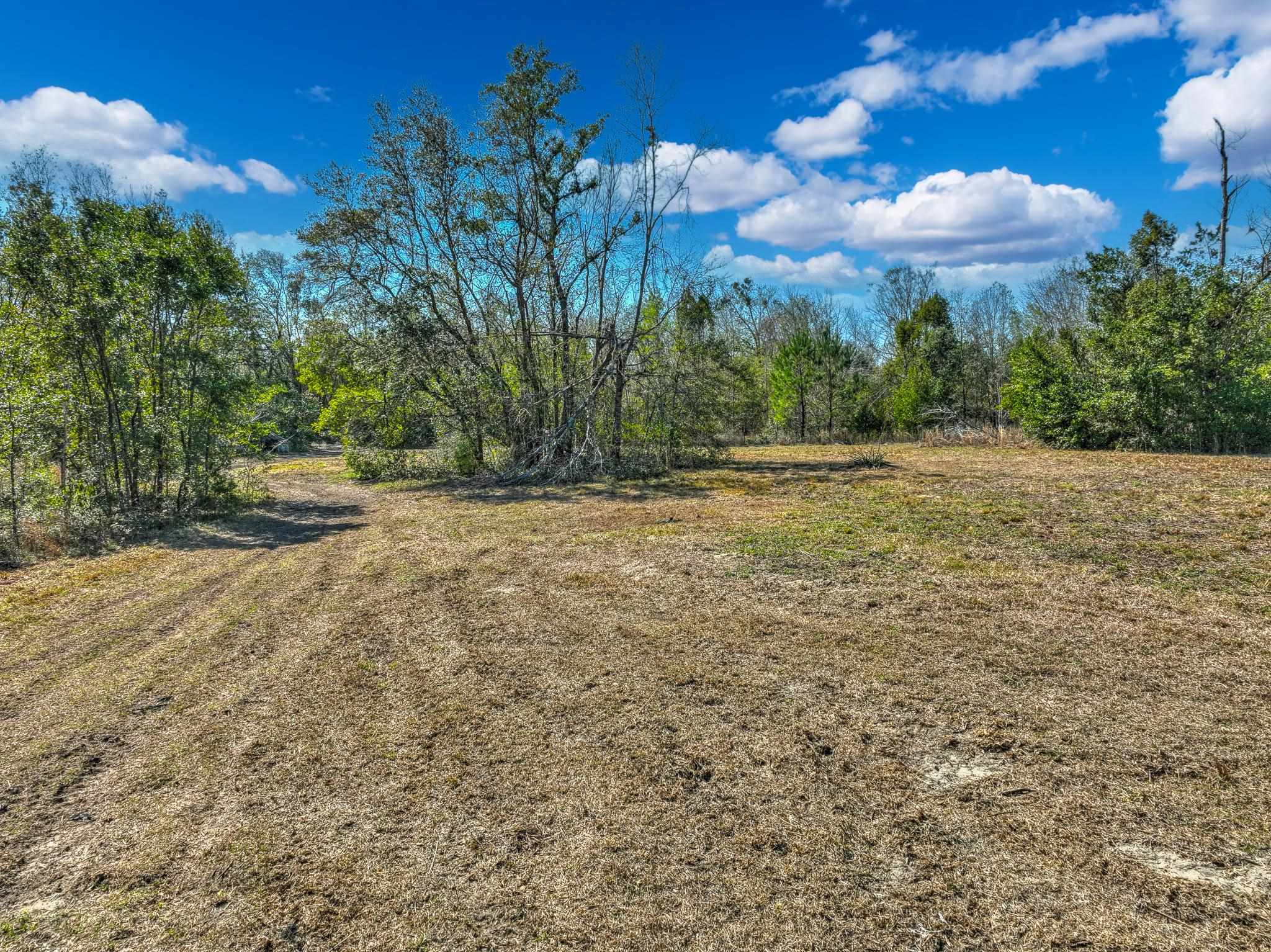 TBD Johnson Stripling Road, Perry, Texas image 1