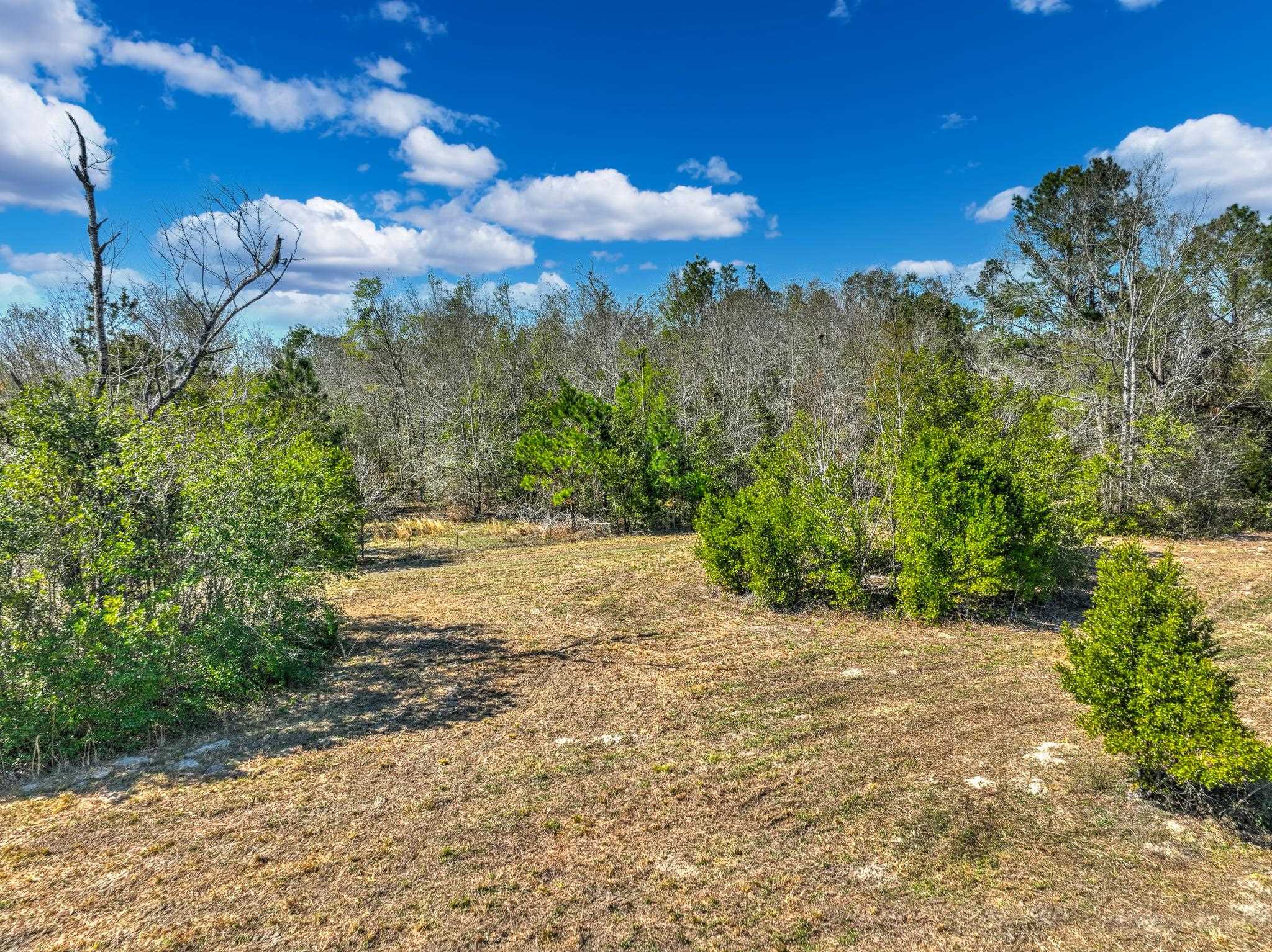 TBD Johnson Stripling Road, Perry, Texas image 2