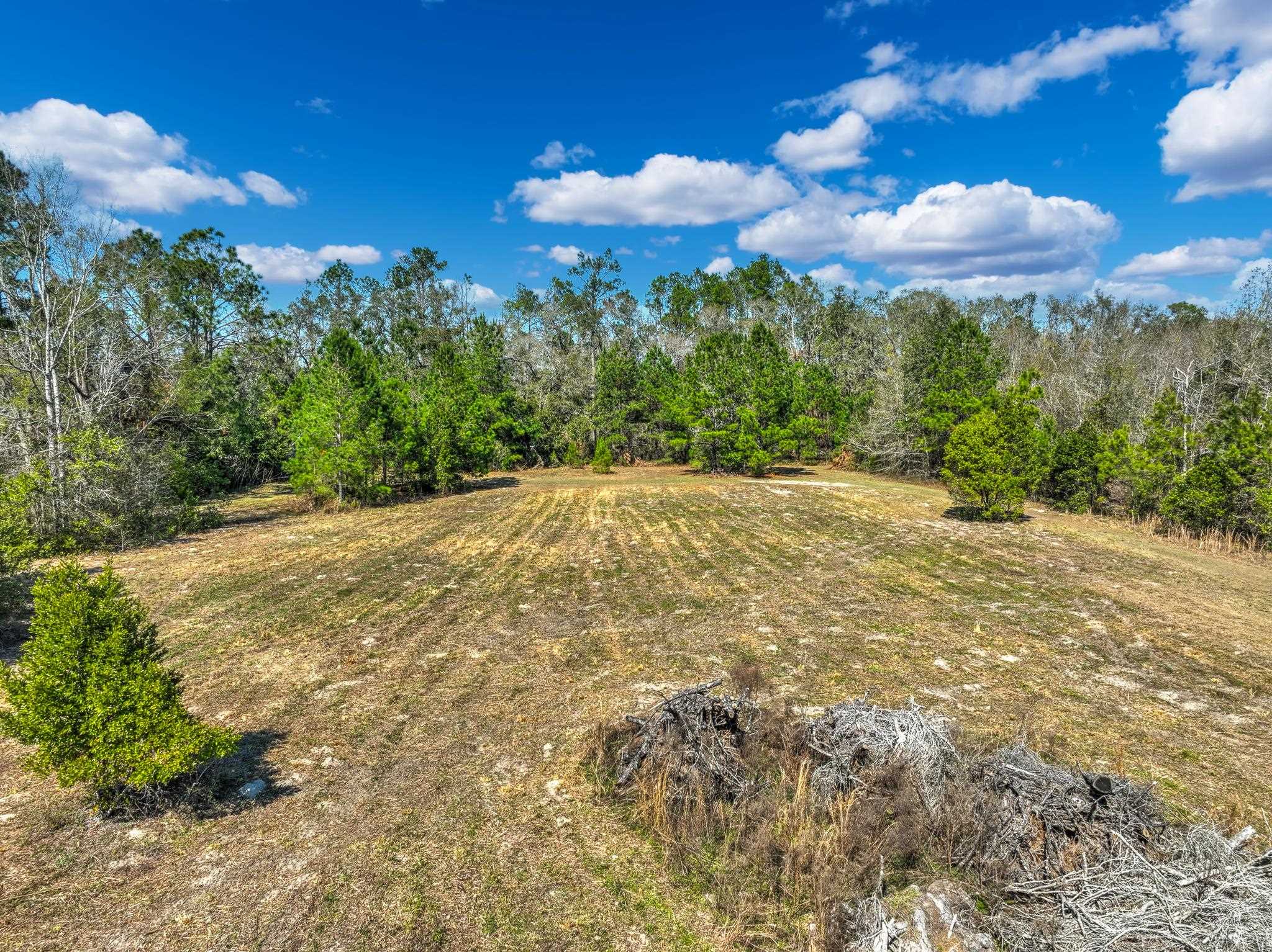 TBD Johnson Stripling Road, Perry, Texas image 3