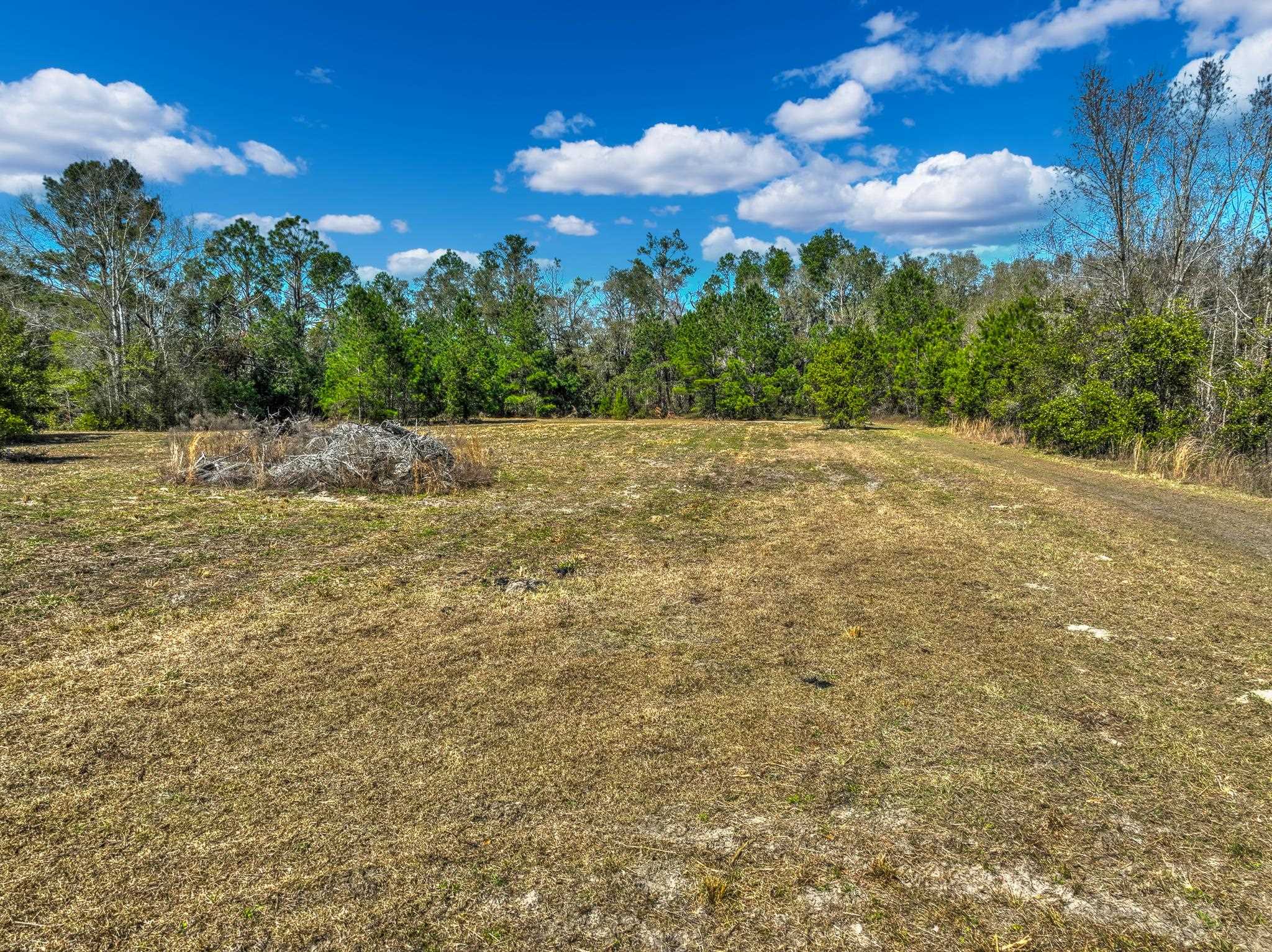 TBD Johnson Stripling Road, Perry, Texas image 4