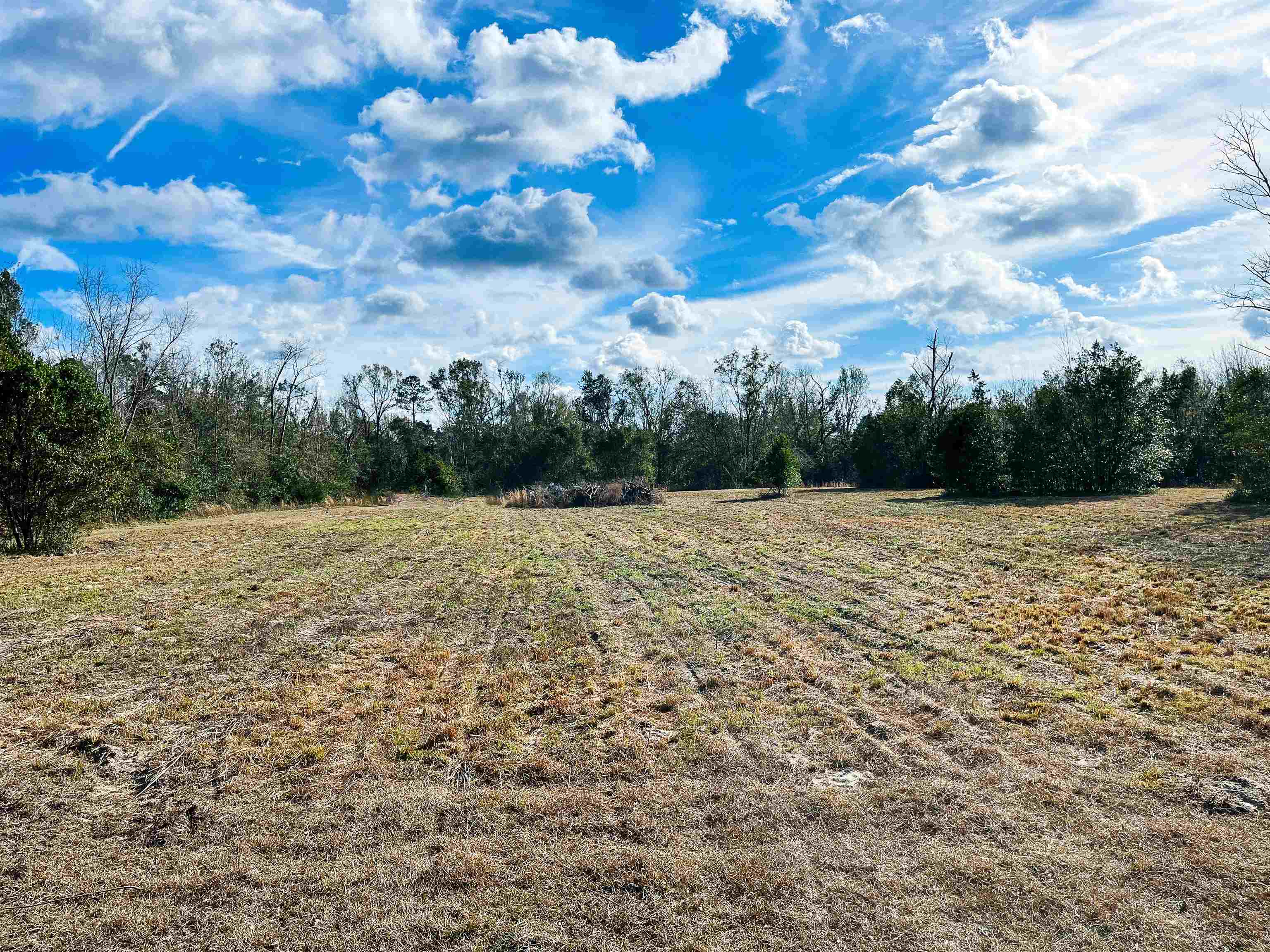TBD Johnson Stripling Road, Perry, Florida image 5