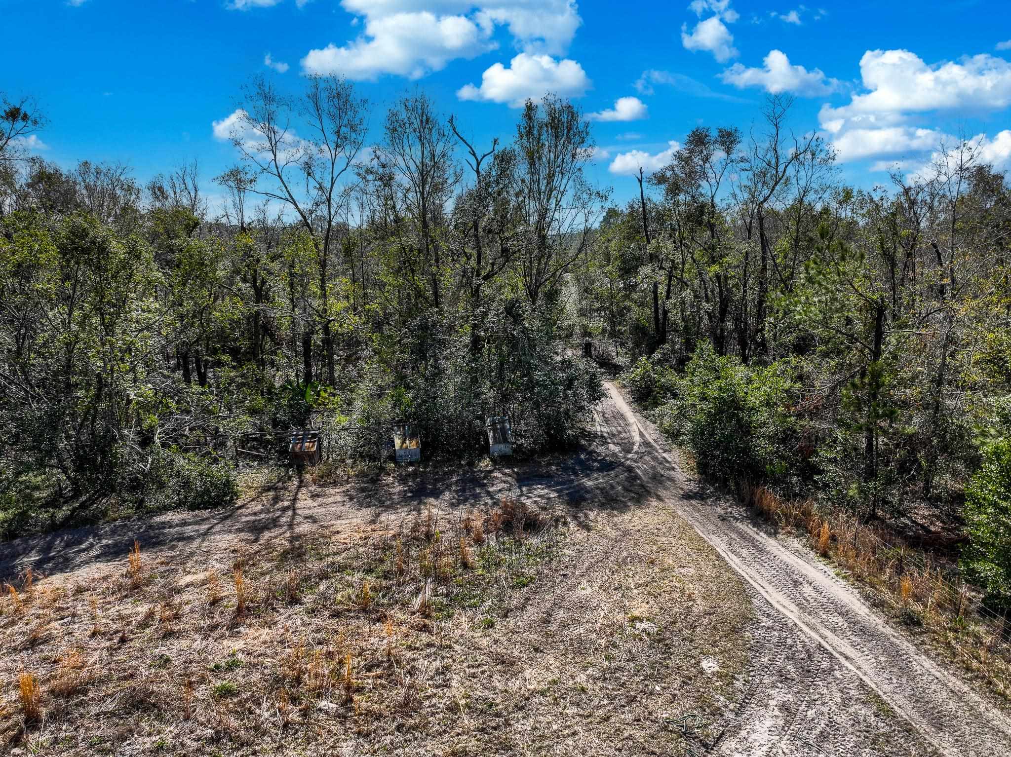 TBD Johnson Stripling Road, Perry, Texas image 6