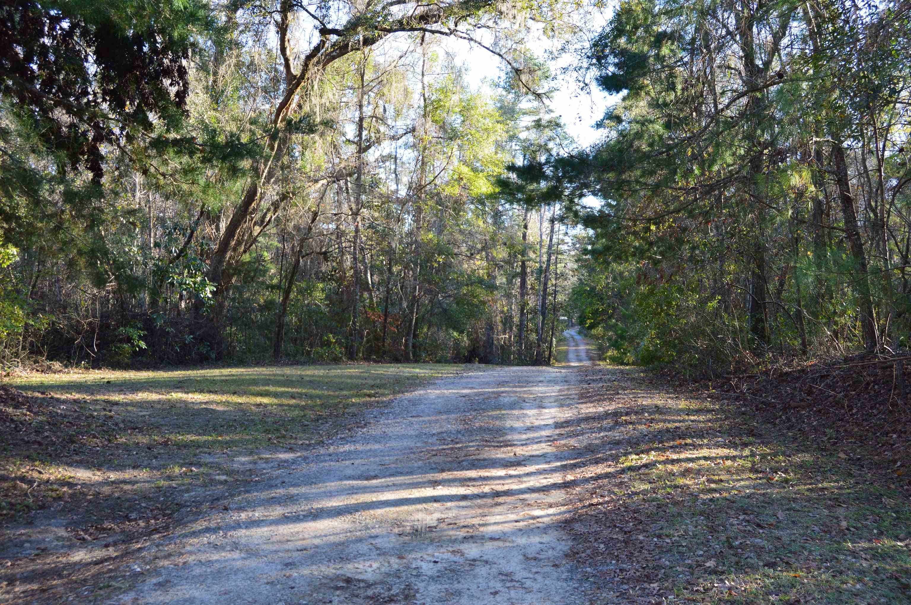 000 Flamingo Court #NONE, Monticello, Florida image 1