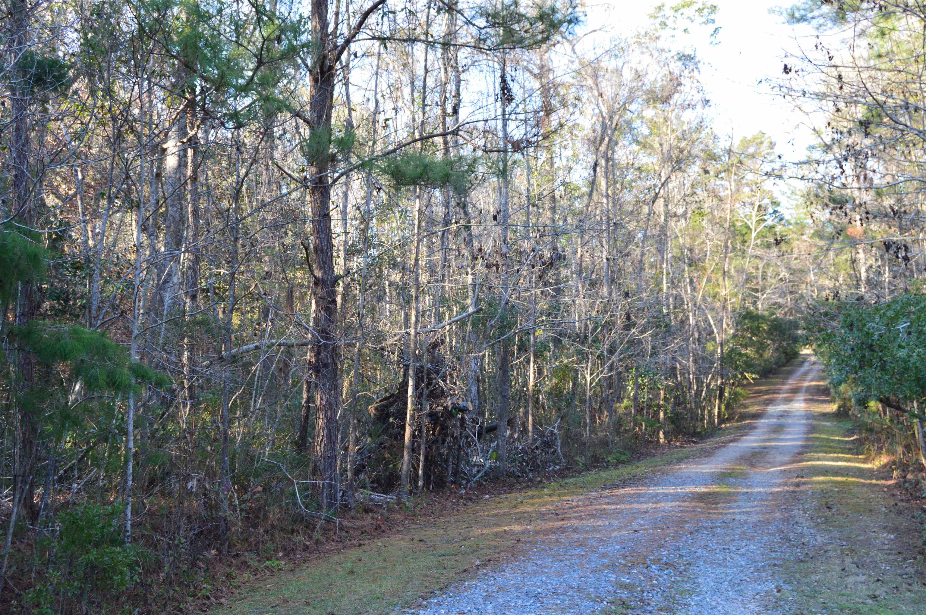 000 Flamingo Court #NONE, Monticello, Florida image 2