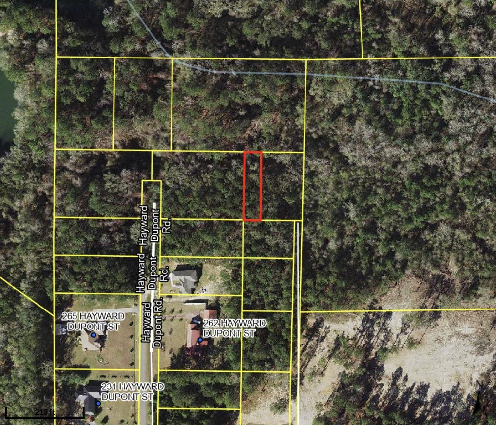 Hayward Dupont Road, Midway, Florida image 6
