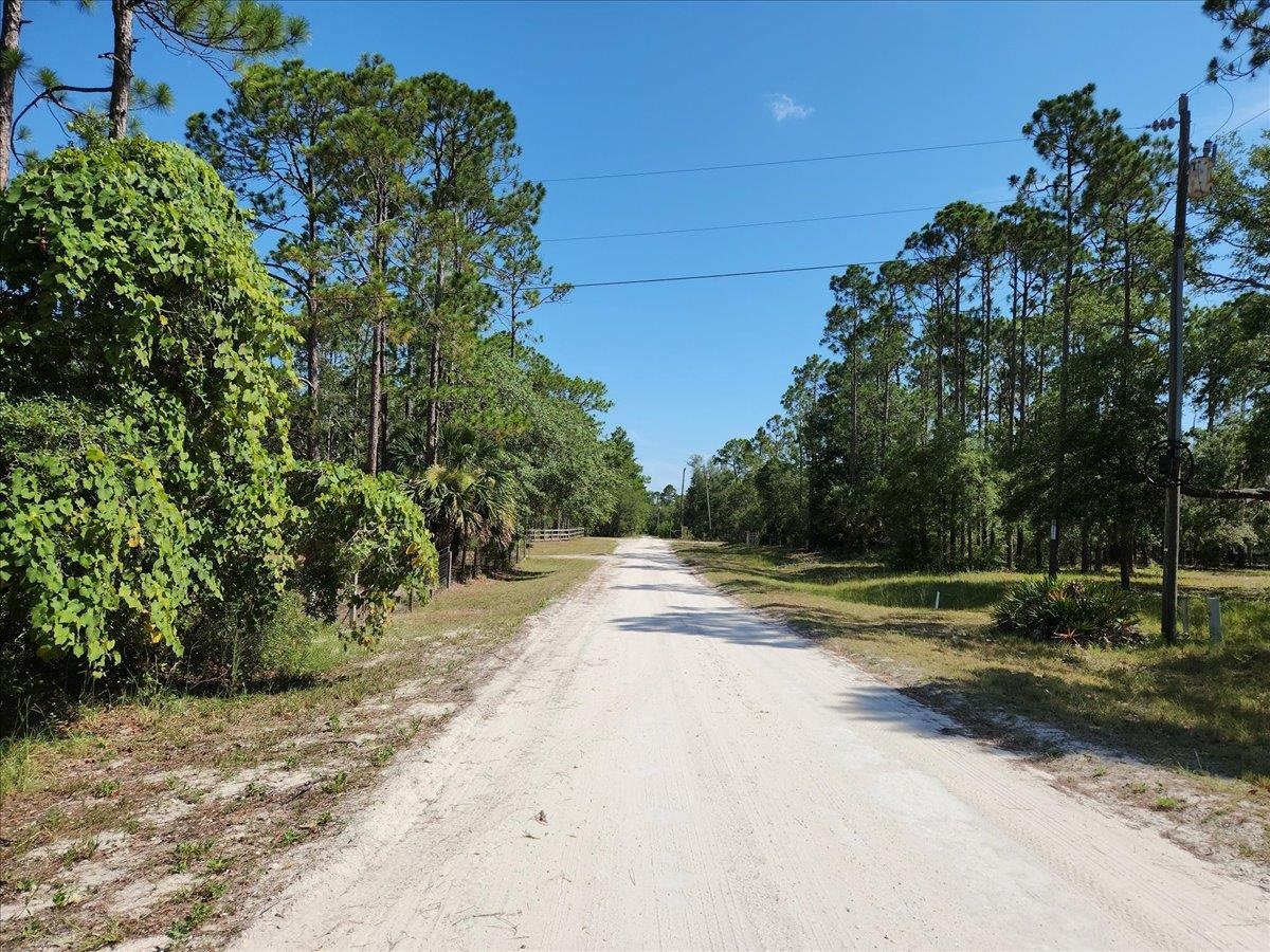 Sea Grass Drive, Perry, Texas image 10