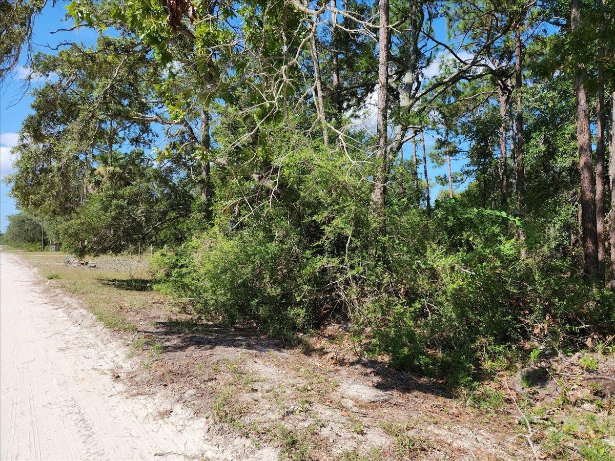 Sea Grass Drive, Perry, Texas image 7