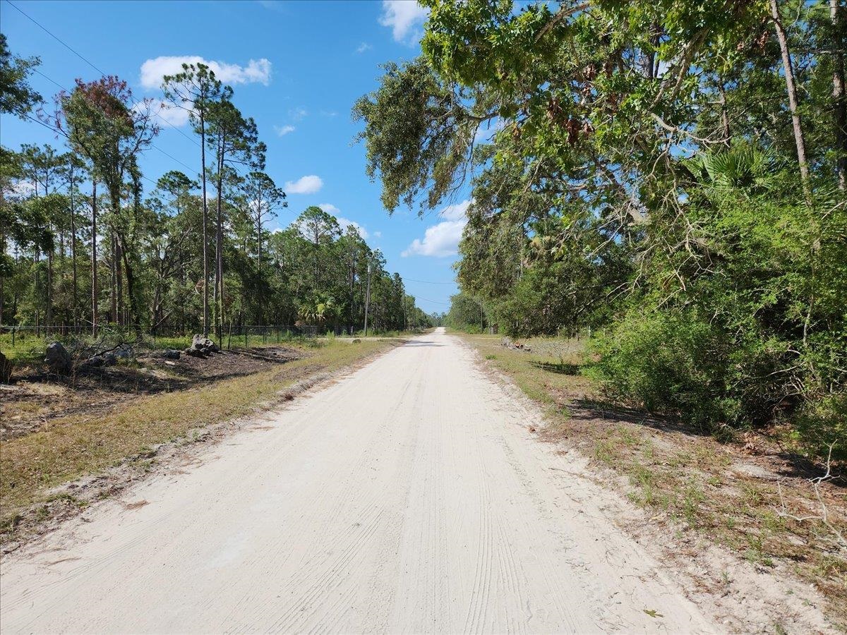 Sea Grass Drive, Perry, Texas image 9