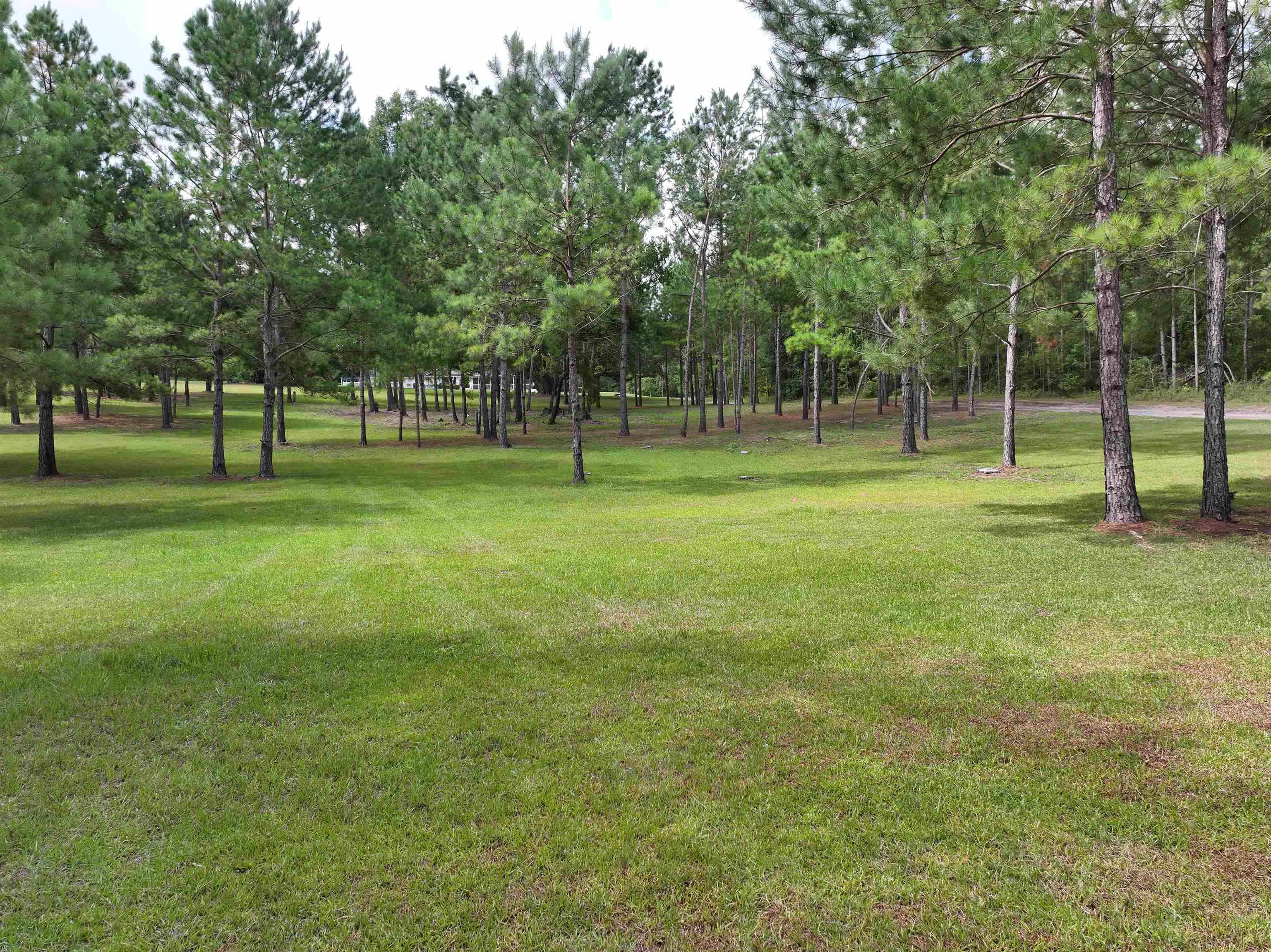 914 NE Pine Ridge Ranch Road, Madison, Texas image 30