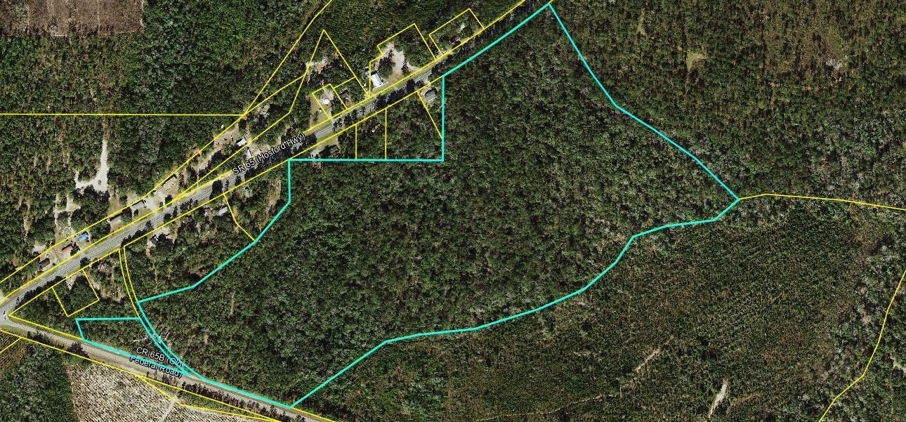 45 Old Federal Road, Quincy, Florida image 1