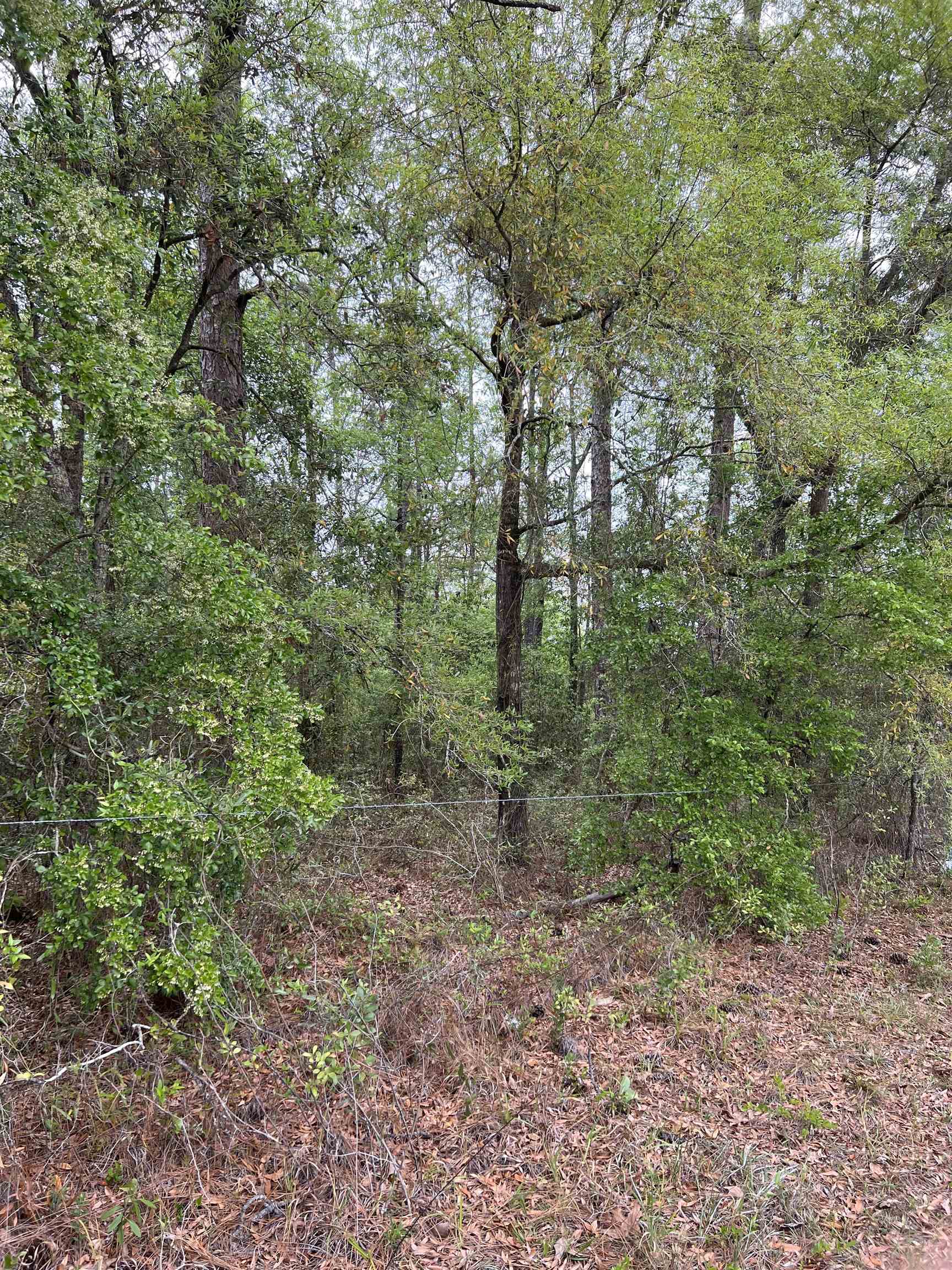 45 Old Federal Road, Quincy, Florida image 10