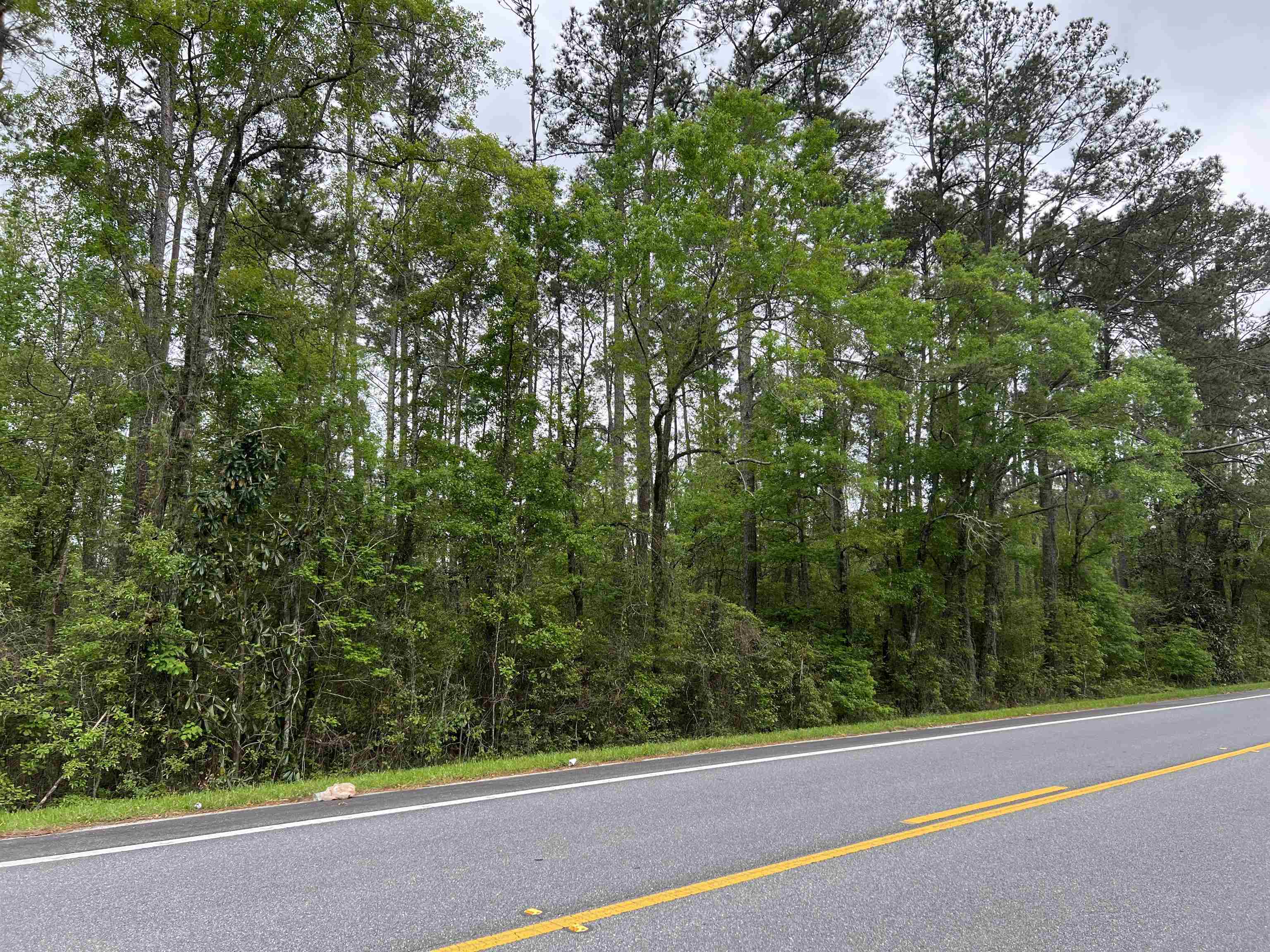 45 Old Federal Road, Quincy, Florida image 13